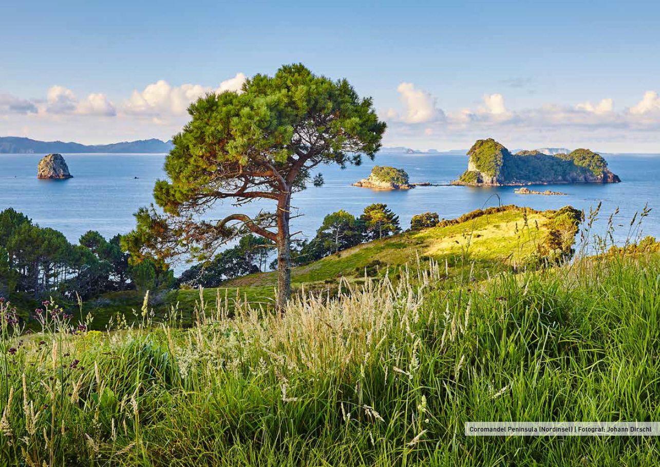 Coromandel Peninsula