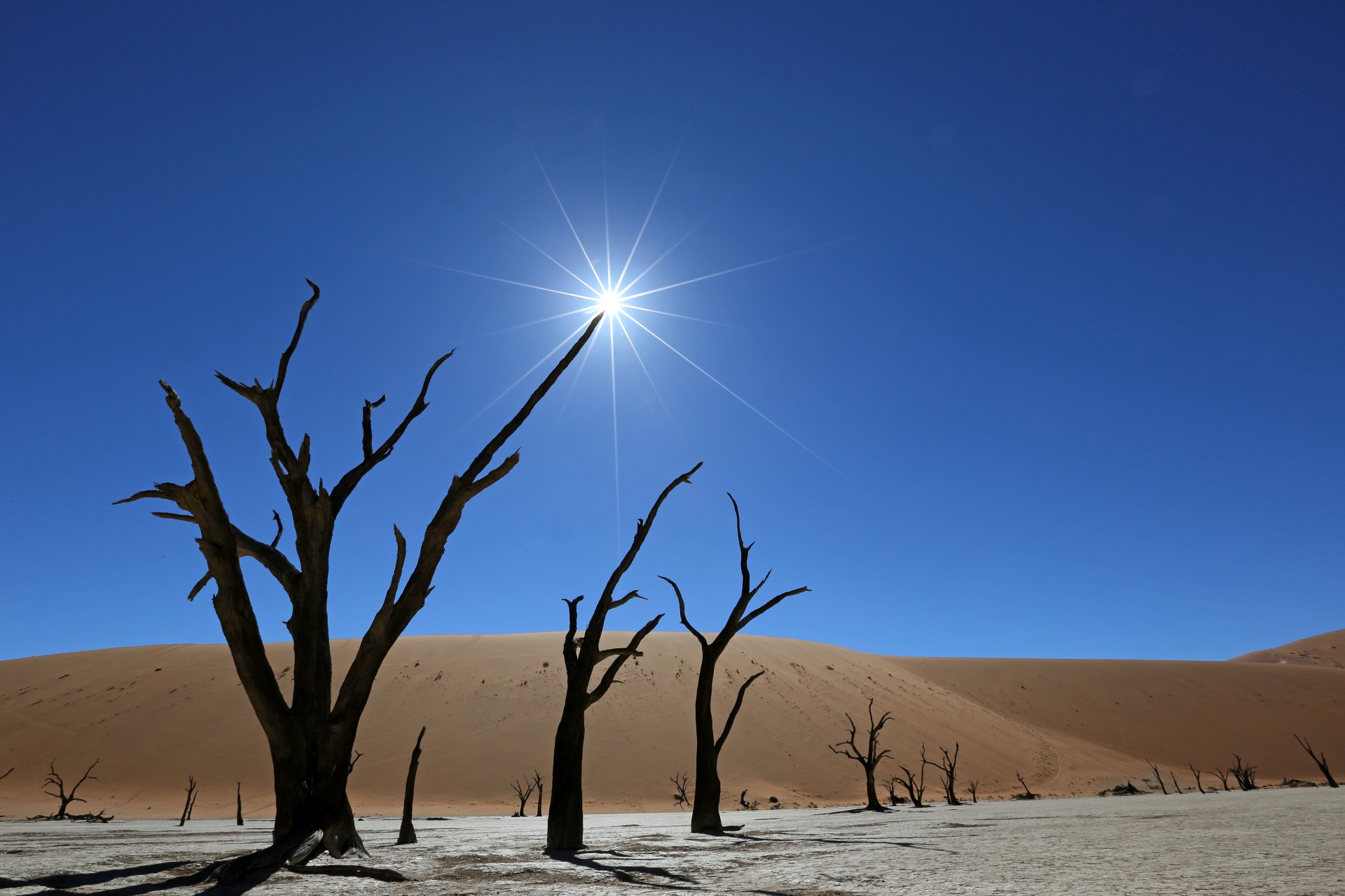 Deadvlei in Namibia. Photo Credit: Jörg Ehrlich | Diamir Reisen Deadvlei in Namibia. Photo Credit: Jörg Ehrlich | Diamir Reisen