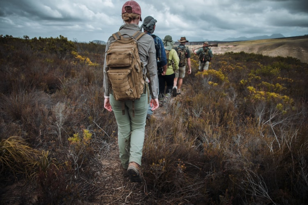 Walking Safari. Photo Credit: Sebastian Canaves | Unsplash