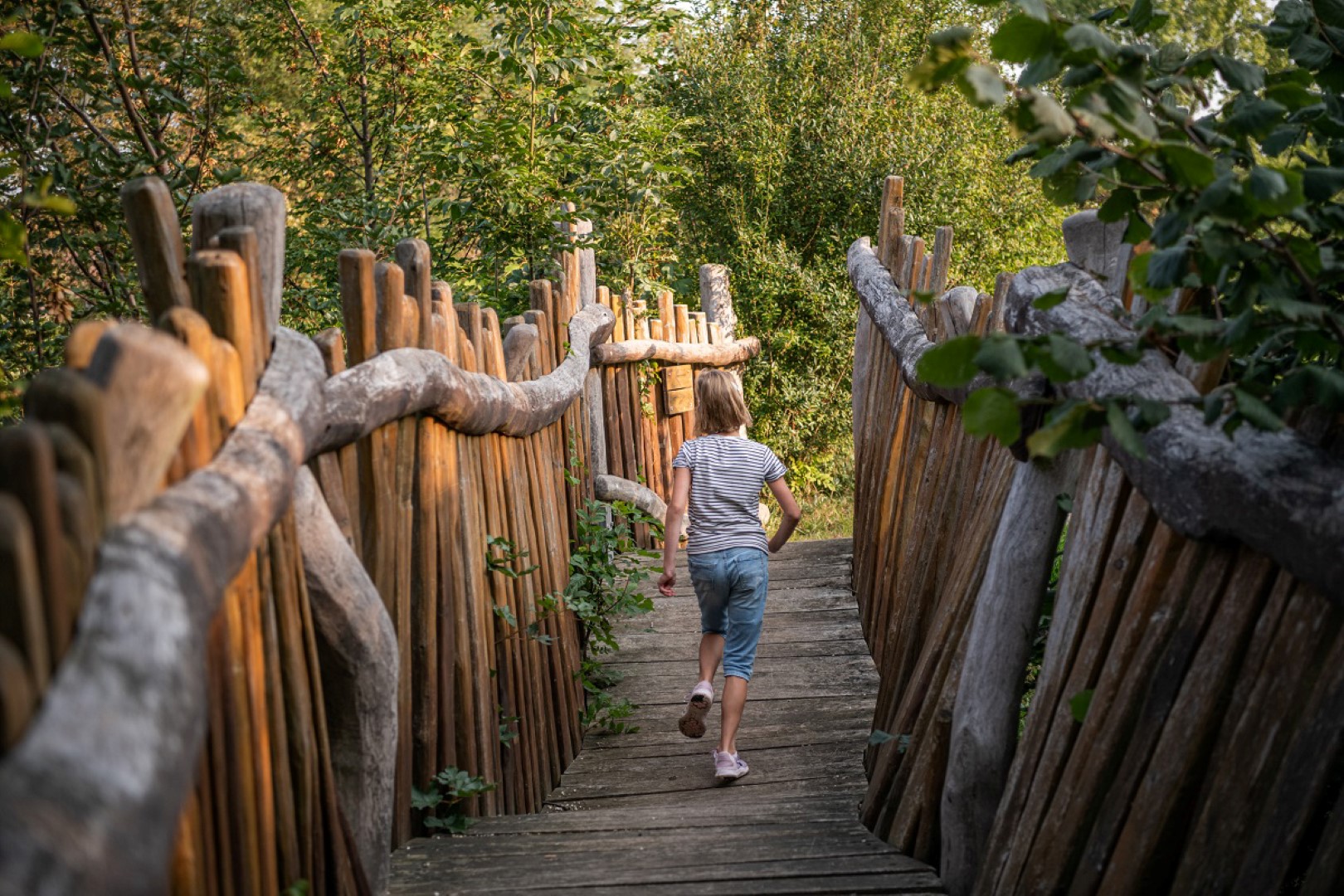 Baumwipfelpfad am Elsterradweg. Photo Credit: Saale-Unstrut-Tourismus e.V. | Falko Matte