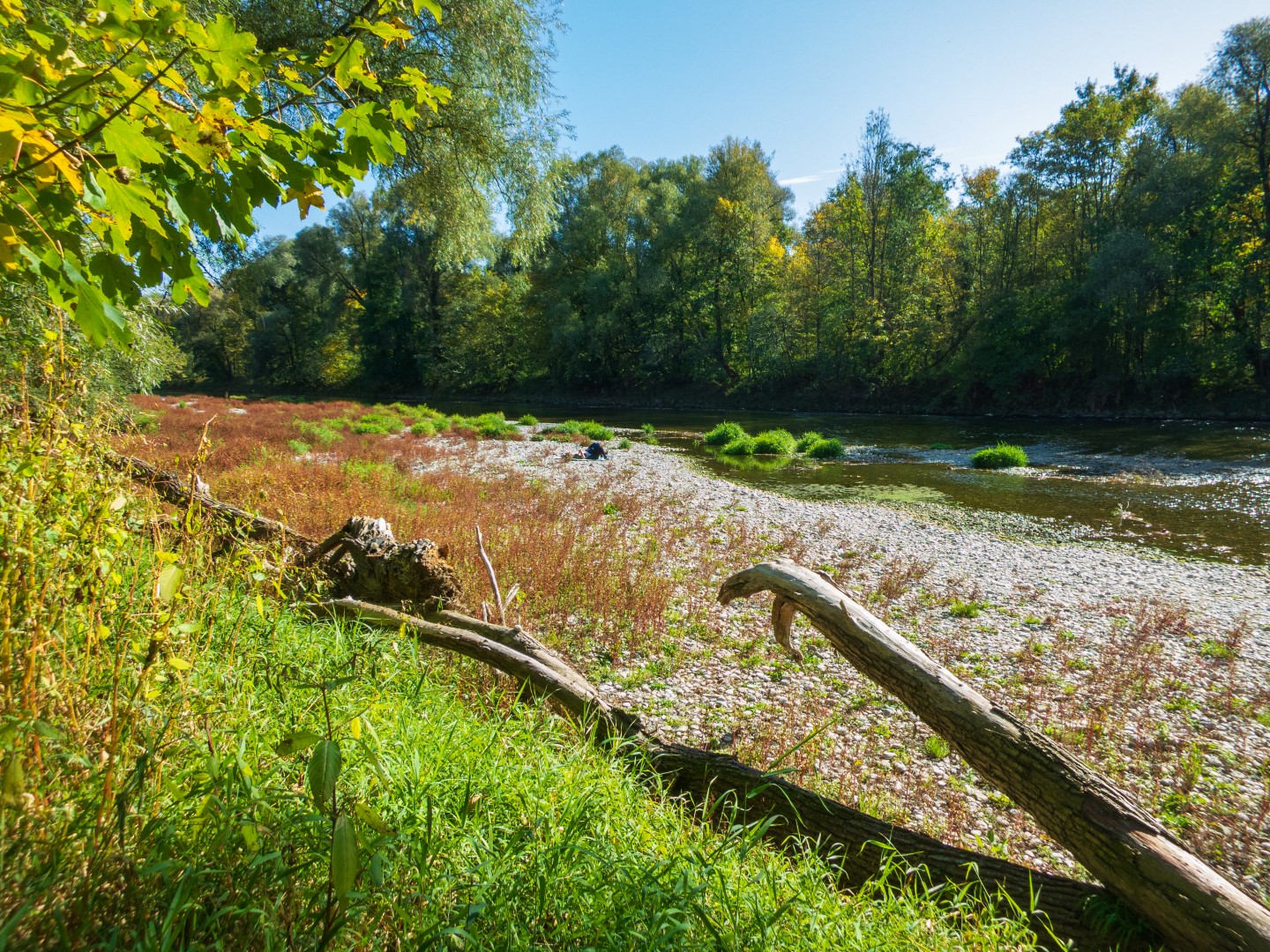 Kiesbank mit Treibholz an der Isar. Photo Credit: Michaela Urban