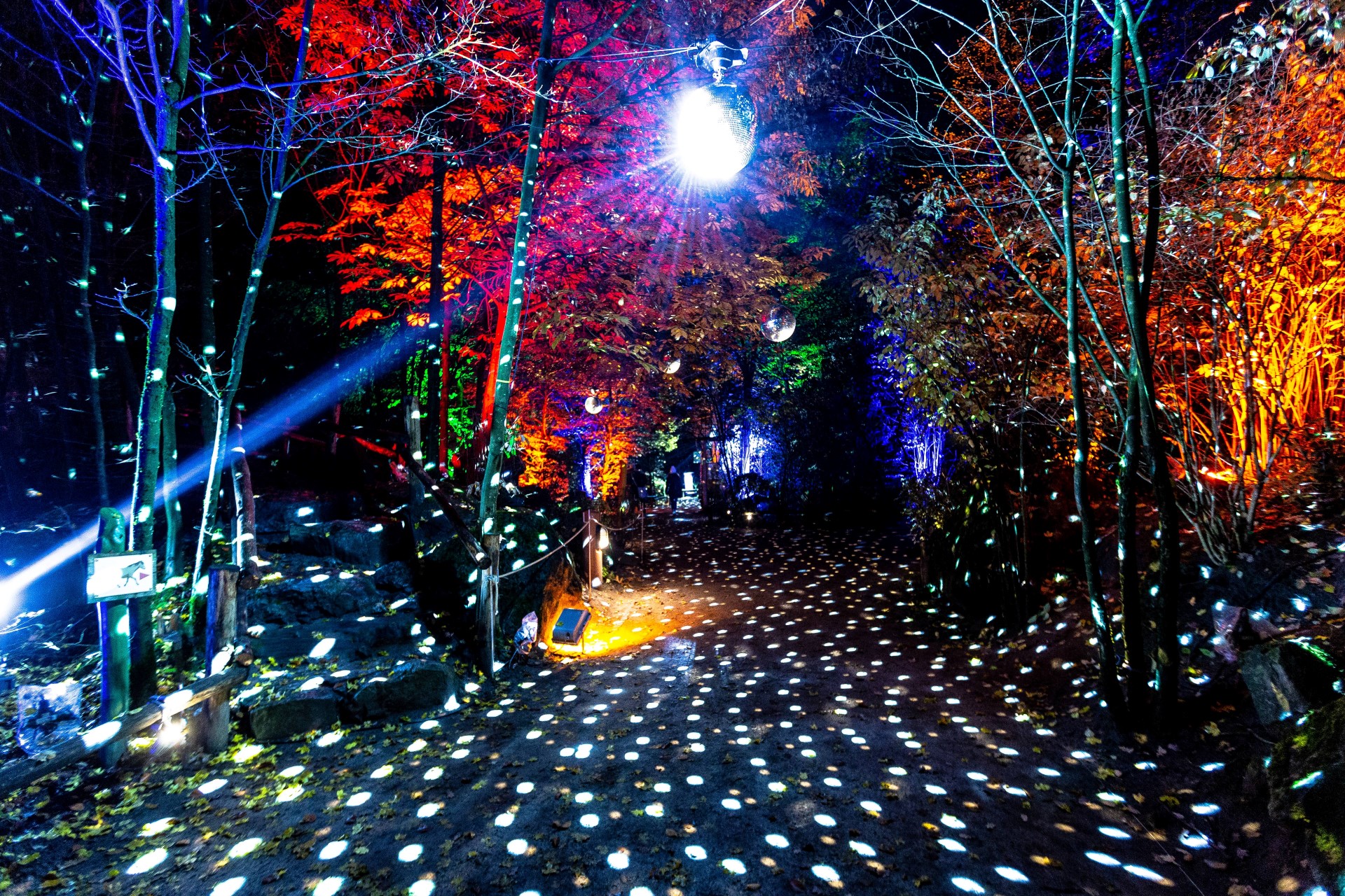 Christmas Garden auf der Insel Mainau. Photo Credit: Christmas Garden | Münster4life Christmas Garden auf der Insel Mainau. Photo Credit: Christmas Garden | Münster4life
