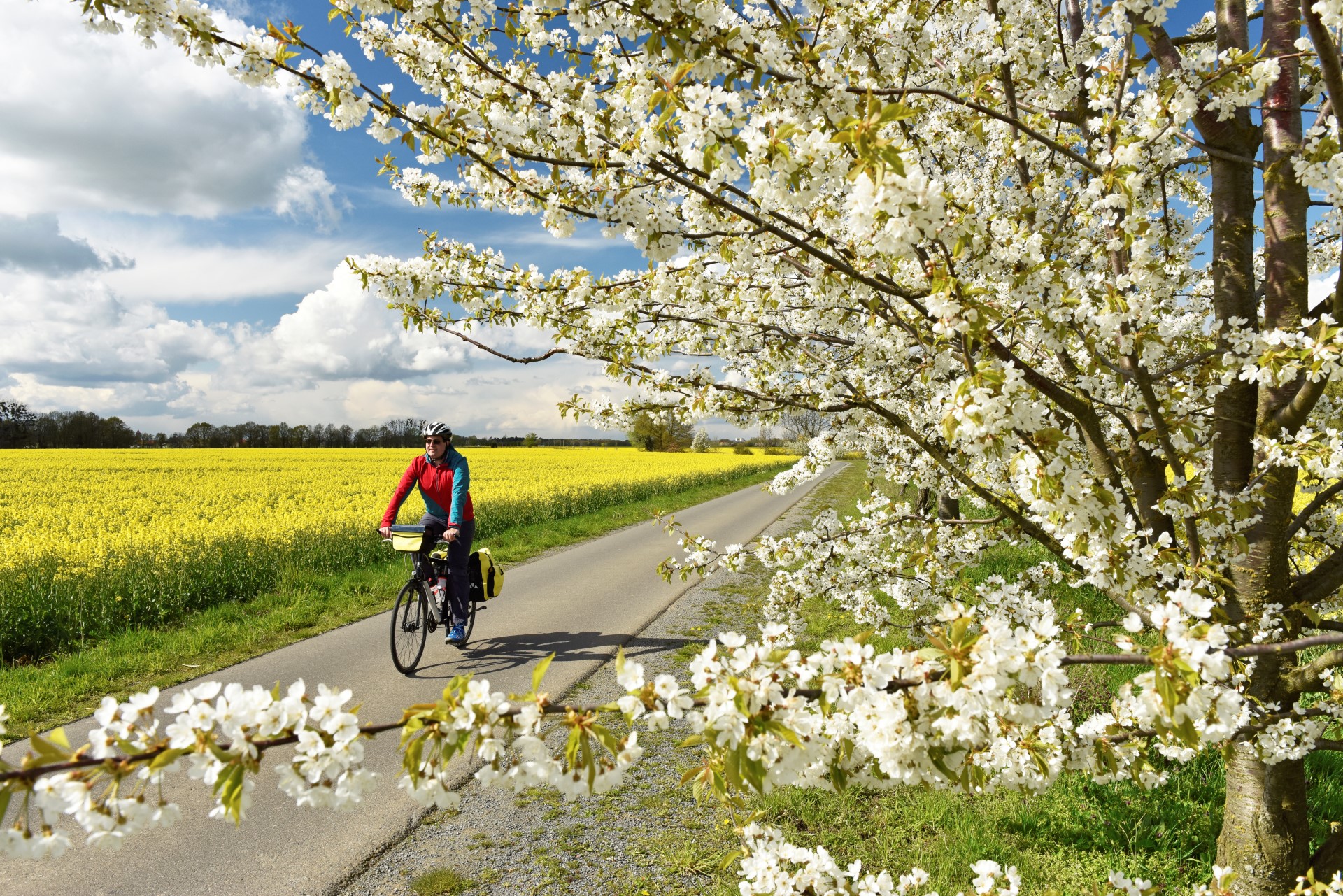 Entspanntes Radeln durch die Natur auf dem Mulderadweg. Photo Credit: Mulderadweg24