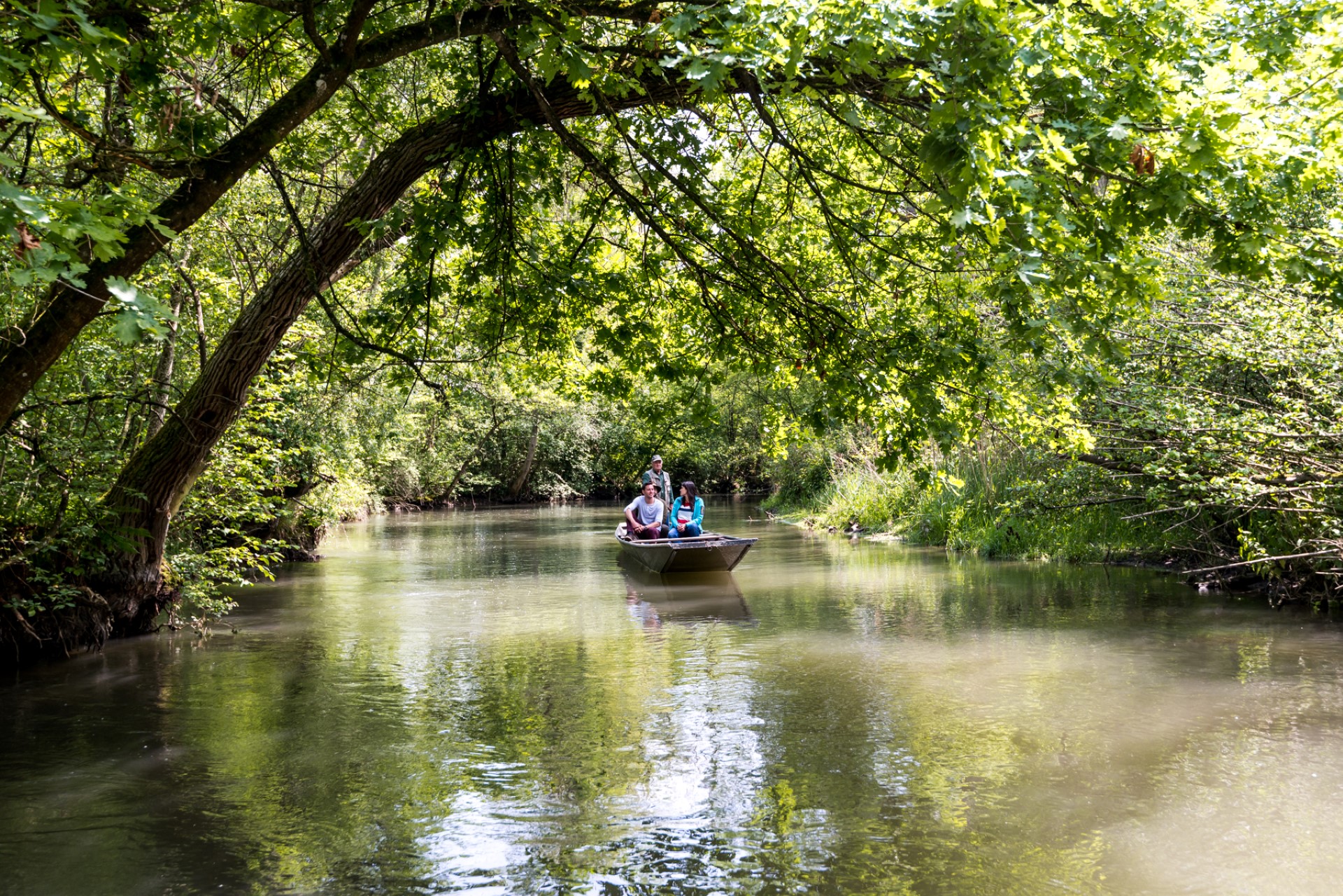Einsteigen und abschalten: Stocherkahnfahren im Taubergießen. Photo Credit: TMBW / Gregor Lengler Einsteigen und abschalten: Stocherkahnfahren im Taubergießen. Photo Credit: TMBW / Gregor Lengler