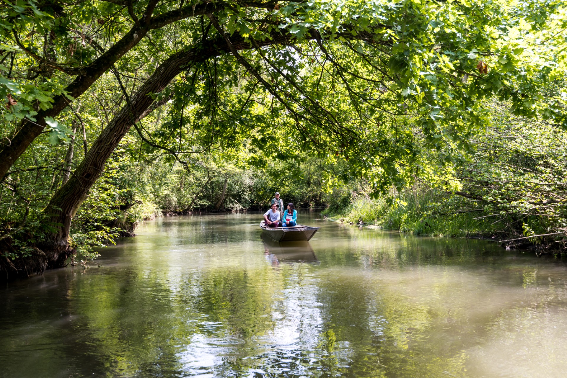 Einsteigen und abschalten: Stocherkahnfahren im Taubergießen. Photo Credit: TMBW / Gregor Lengler