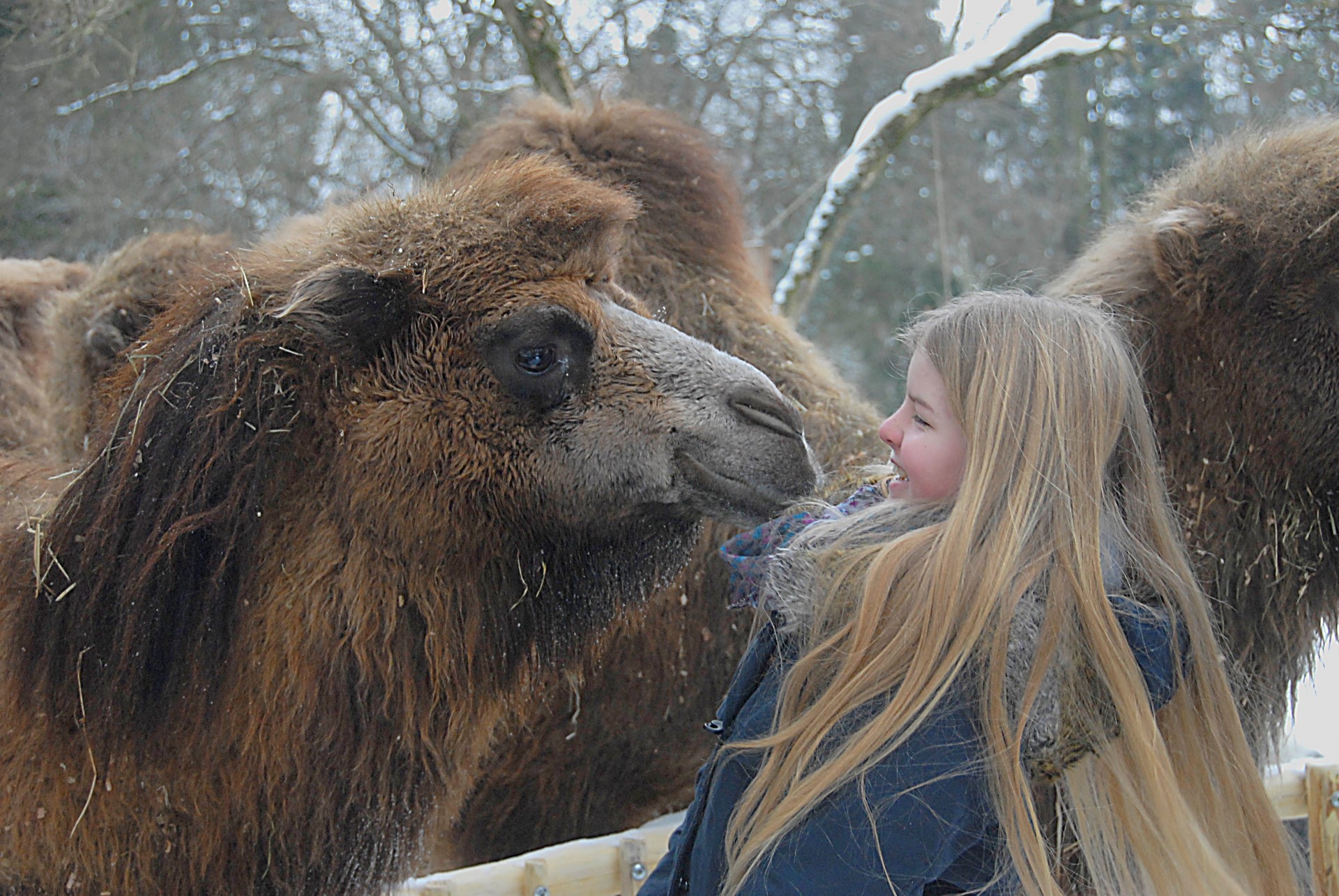 Winterbesuch im Naturschutz-Tierpark Görlitz. Photo Credit: Tierpark Görlitz | C. Hammer Winterbesuch im Naturschutz-Tierpark Görlitz. Photo Credit: Tierpark Görlitz | C. Hammer