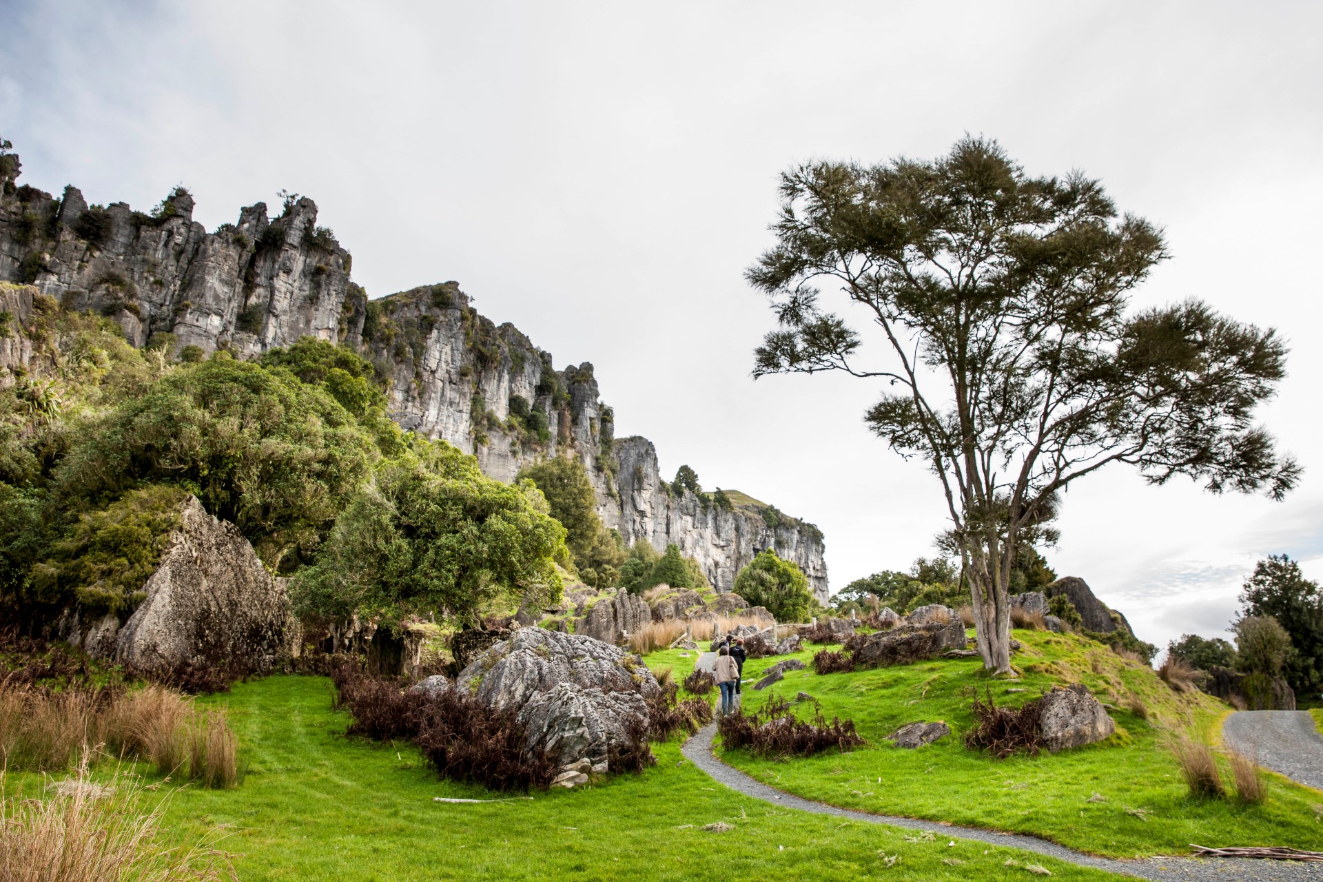 Mangaotaki Rocks in Piopio (Nordinsel) Photo Credit: Tourism New Zealand
