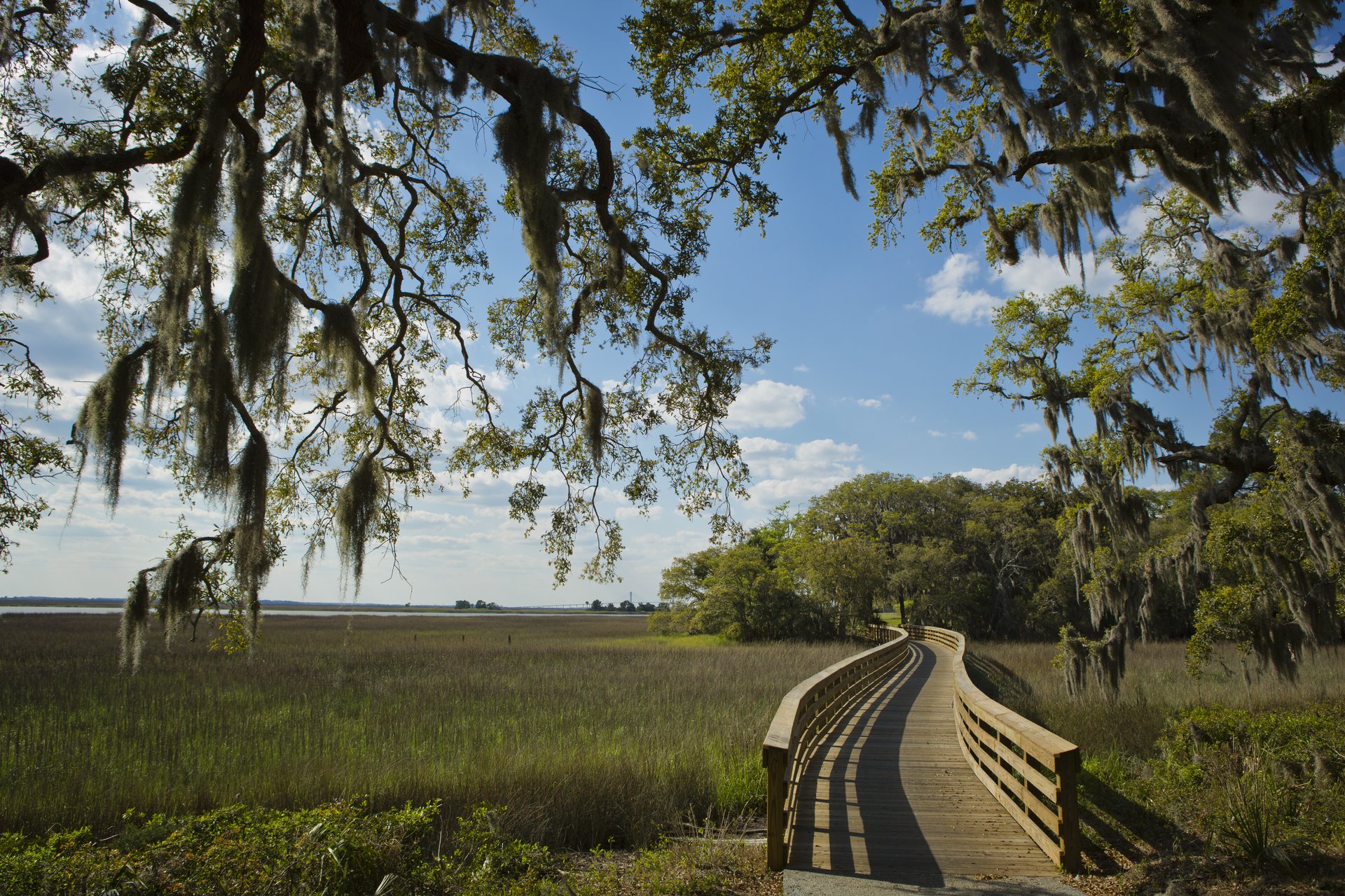 Mit dem Fahrrad auf Jekyll Island unterwegs. Photo Credit: Kirschblüte in Macon. Photo Credit: Georgia-Department-of-Economic-Development