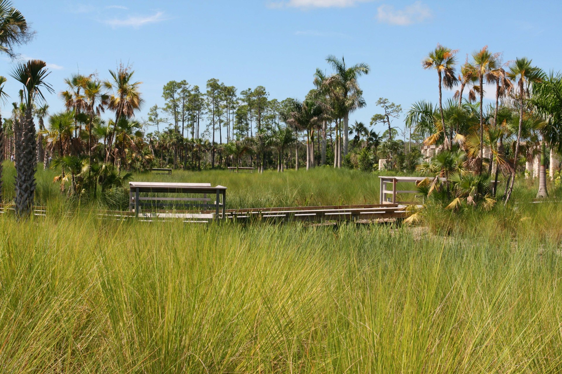 Der Naples Botanical Garden umfasst mehr als 1000 Pflanzenarten Der Naples Botanical Garden umfasst mehr als 1000 Pflanzenarten