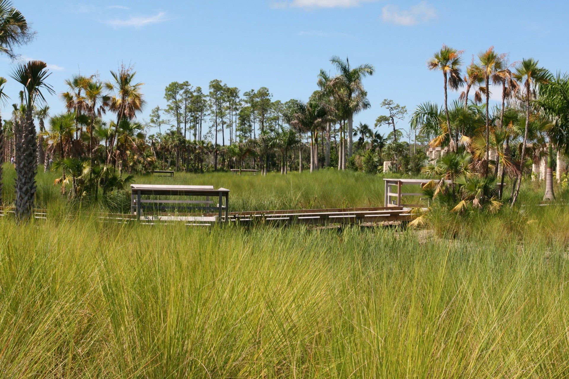 Der Naples Botanical Garden umfasst mehr als 1000 Pflanzenarten