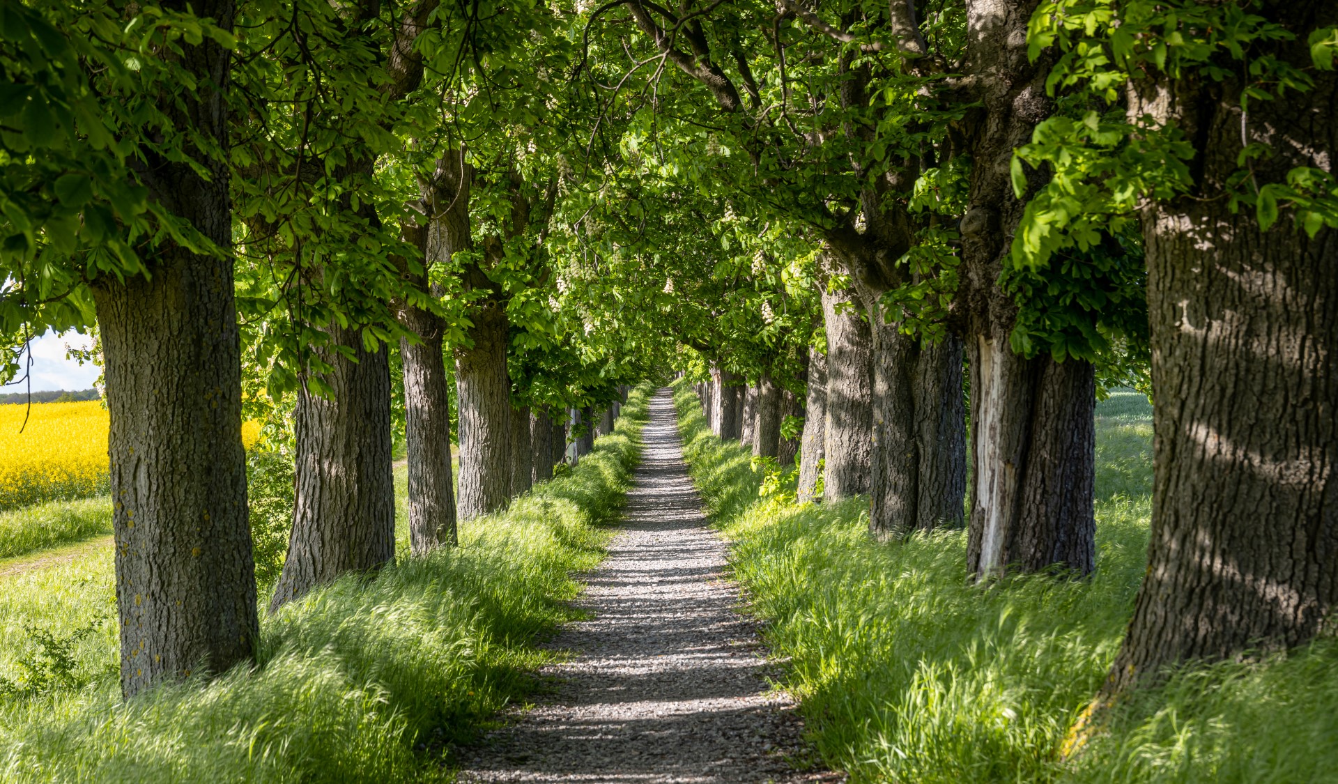 Frühlingsspaziergang. Foto: Mario Hildebrandt Frühlingsspaziergang. Foto: Mario Hildebrandt