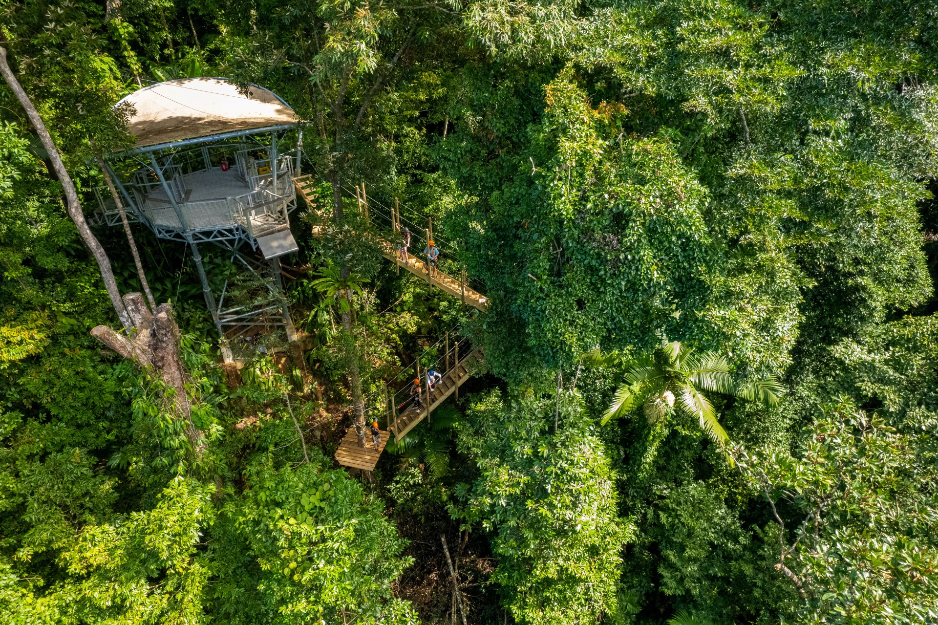 Baumwipfel Parcours. Foto: Treetops Adventure