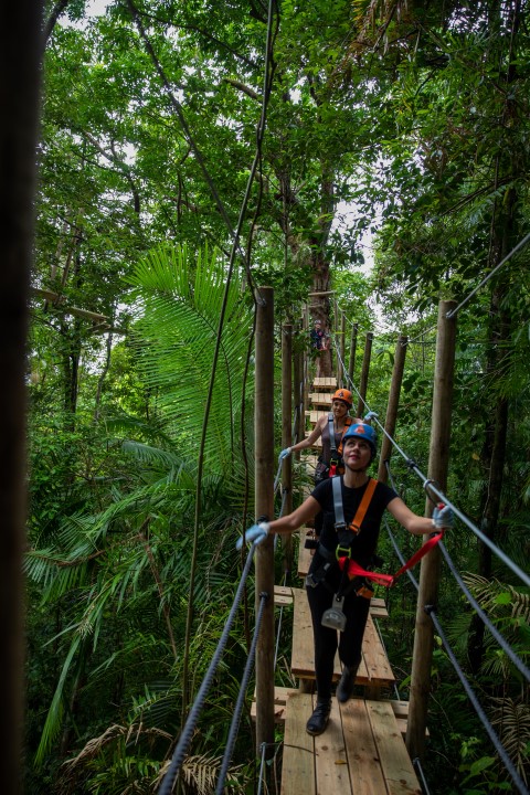 Foto: Treetops Adventure