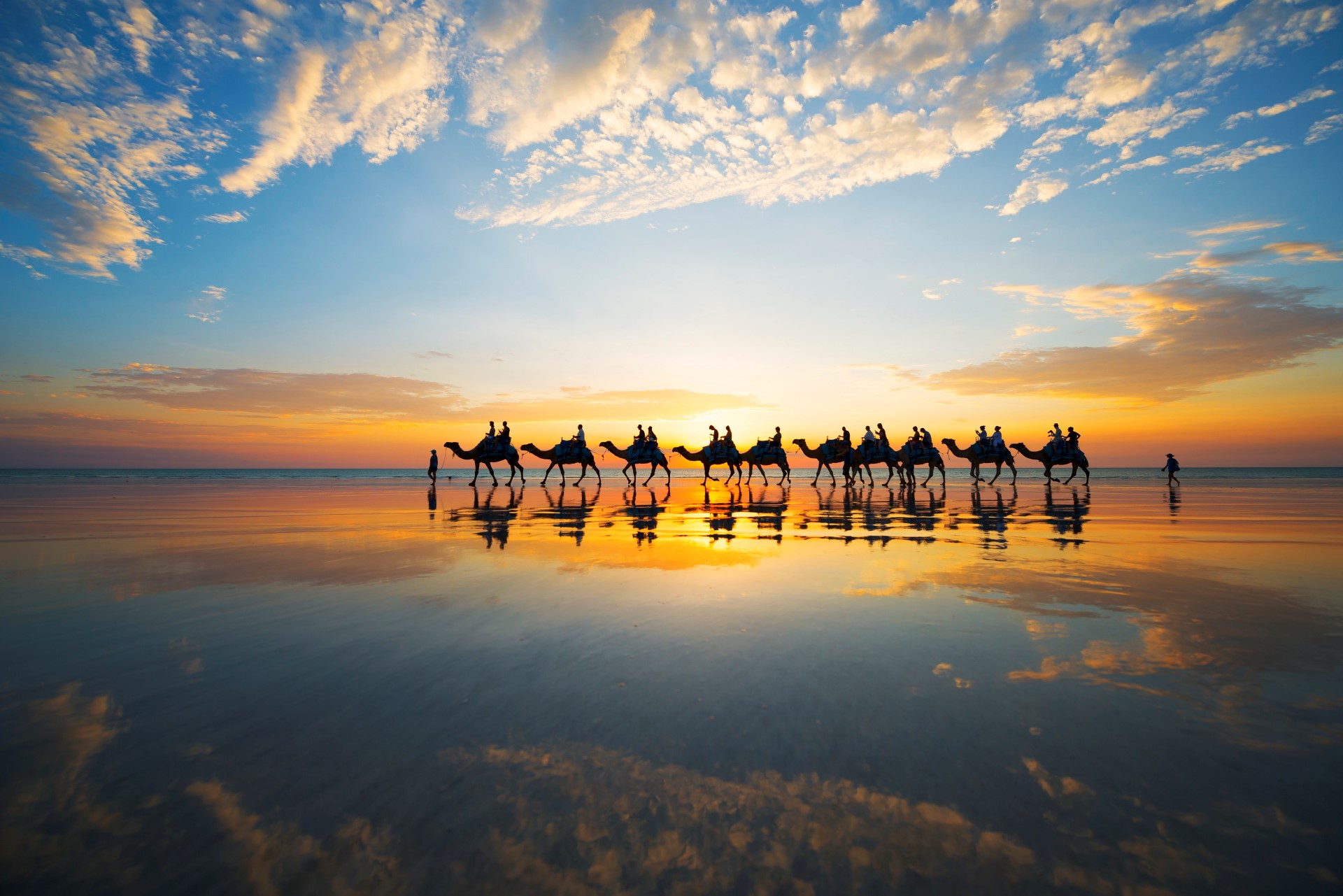 Kamele am Cable Beach. Foto: Tourism Western Australia