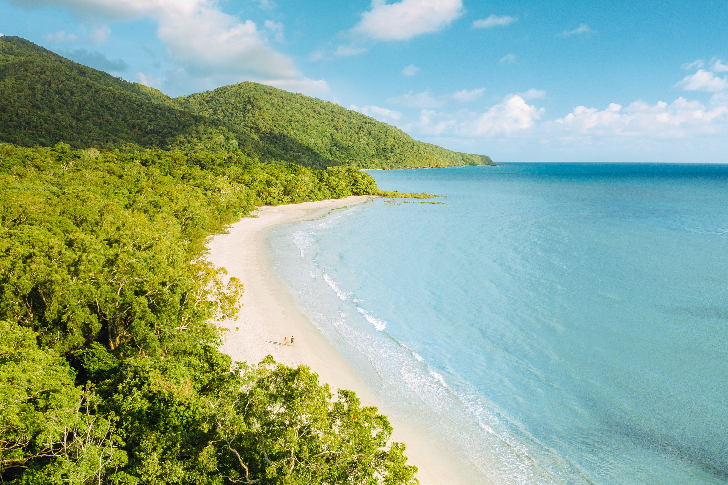 Daintree National Park. Foto: Tourism & Events Queensland Daintree National Park. Foto: Tourism & Events Queensland