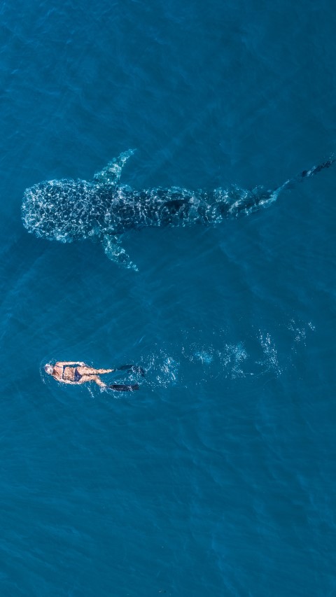 Foto: Tourism Western Australia