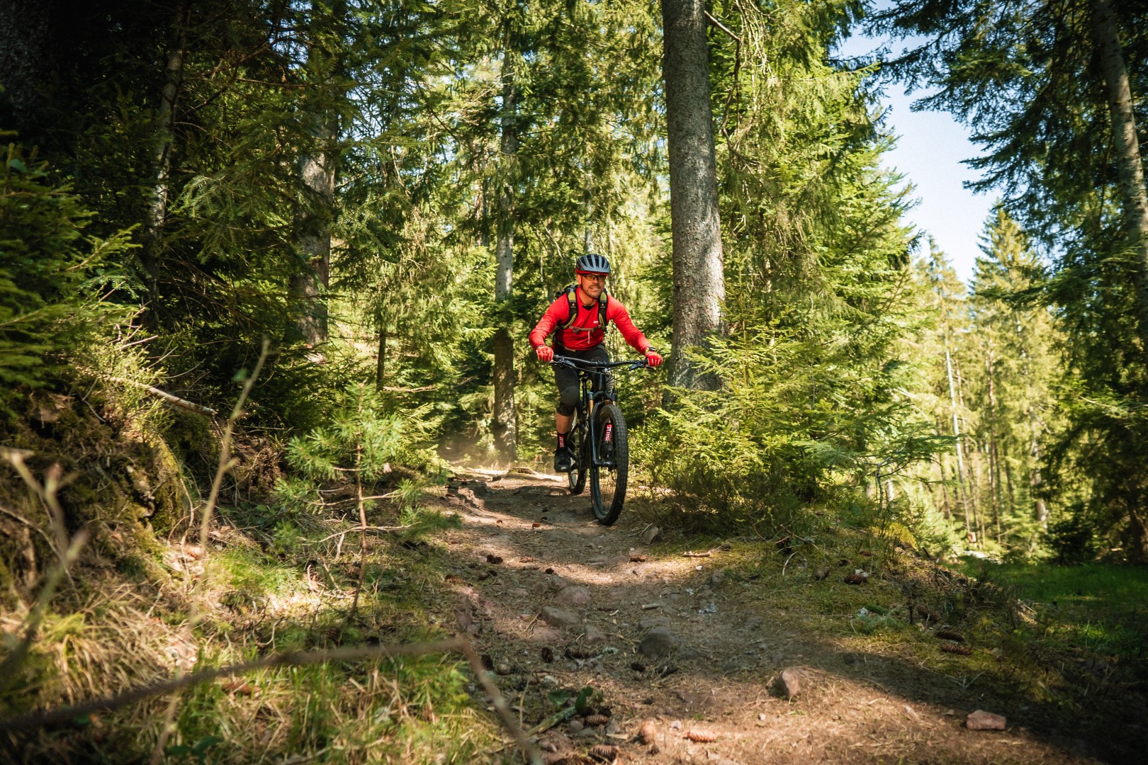 Mit dem Mountainbike durch den Wald. Foto: Baiersbronn Touristik | Max Günter Mit dem Mountainbike durch den Wald. Foto: Baiersbronn Touristik | Max Günter