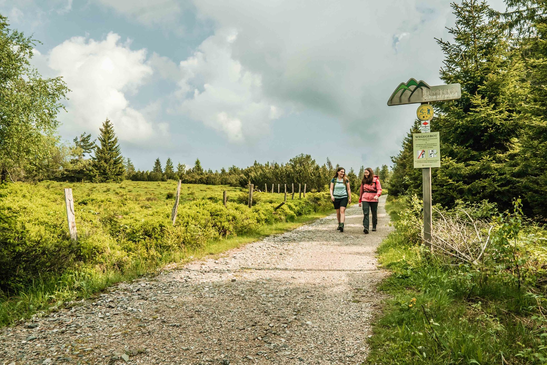 Das Wanderhimmel-Opening in Baiersbronn. Photo Credit: Baiersbronn Touristik Das Wanderhimmel-Opening in Baiersbronn. Photo Credit: Baiersbronn Touristik