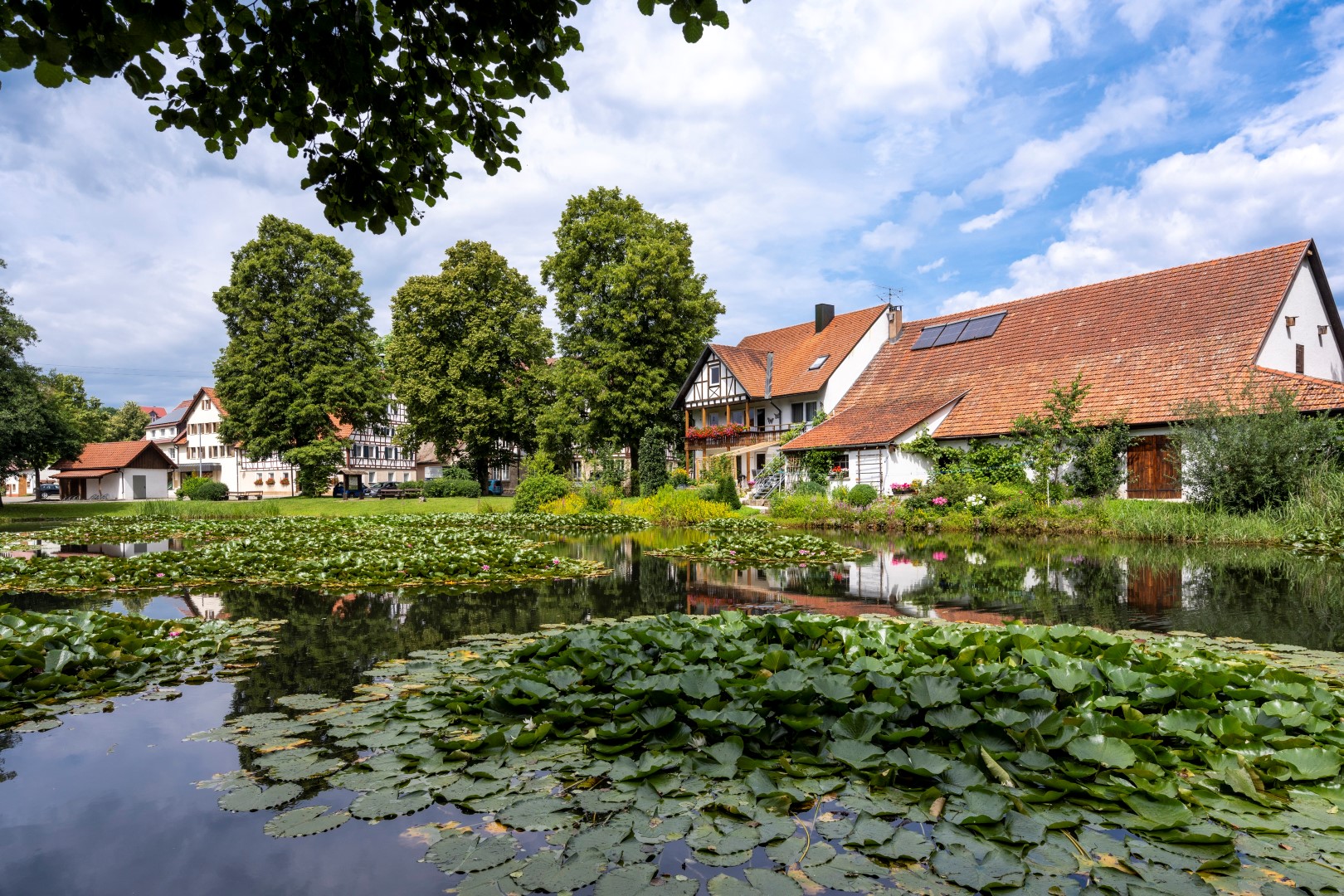 Seit dem Mittelalter siedeln sich die Menschen in Blaubeuren an. Foto: TMBW | Lengler Seit dem Mittelalter siedeln sich die Menschen in Blaubeuren an. Foto: TMBW | Lengler