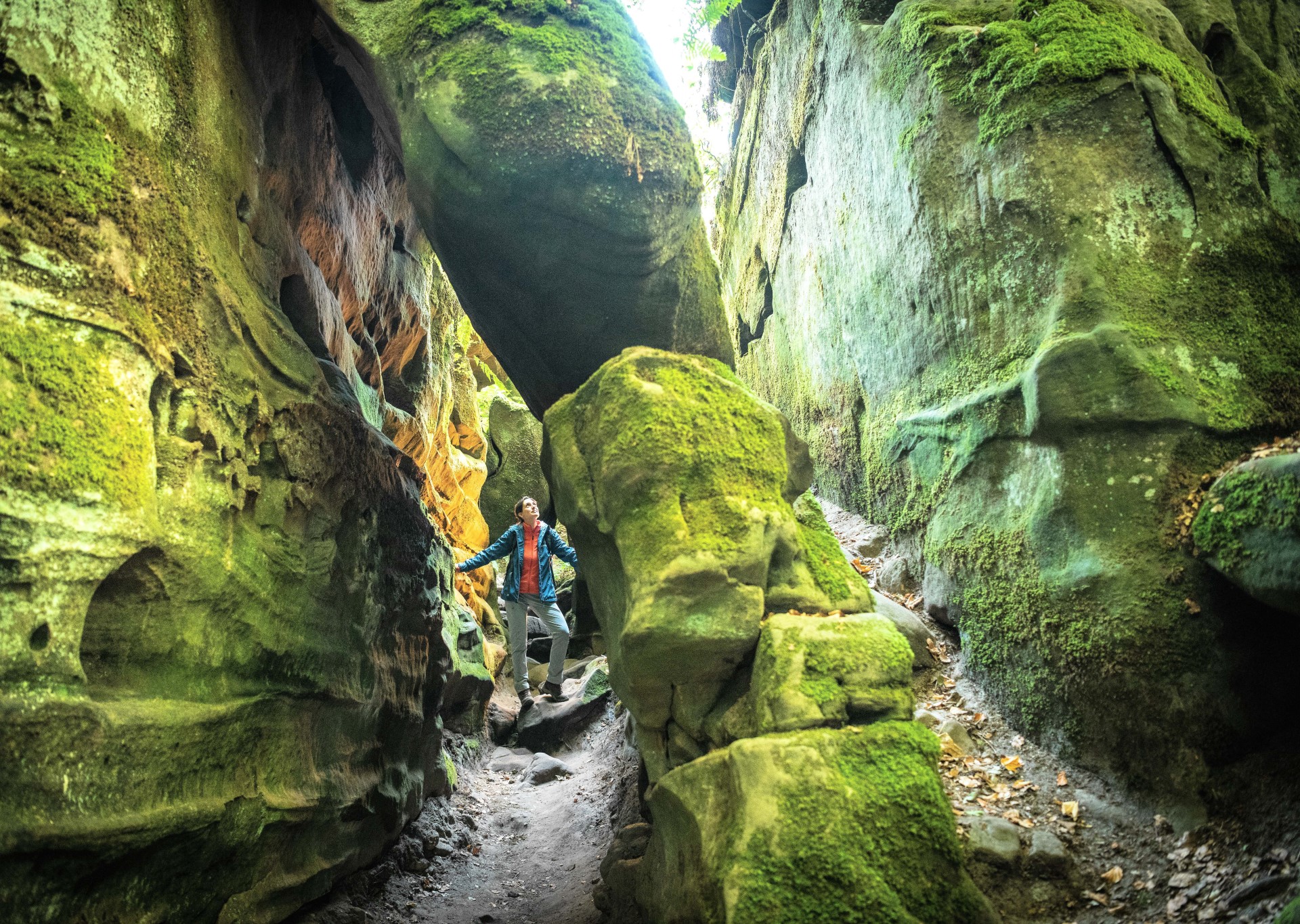 In der Teufelsschlucht. Foto Eifel Tourismus | Dominik Ketz In der Teufelsschlucht. Foto Eifel Tourismus | Dominik Ketz
