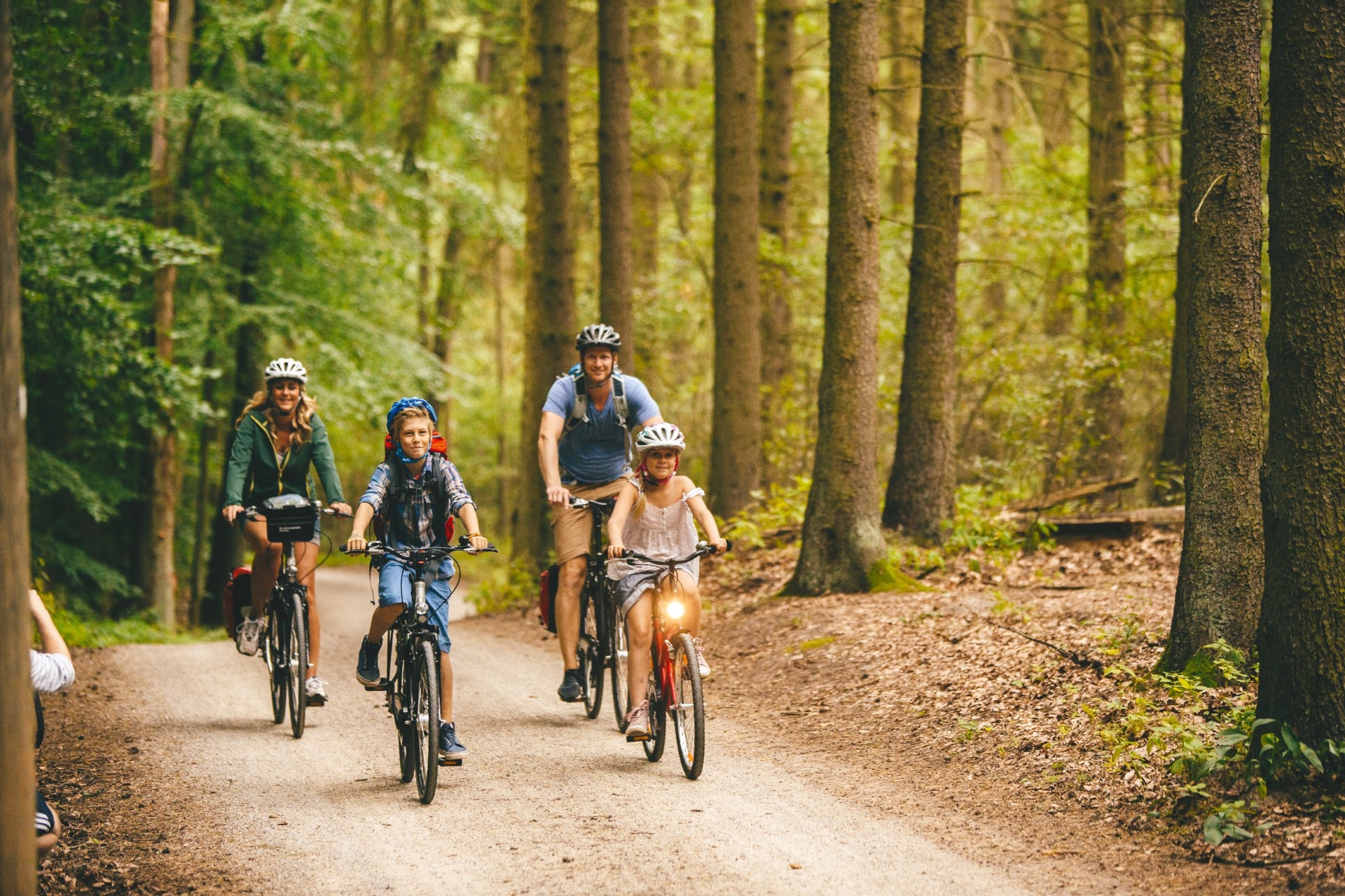 Familienradtour durch den Küstenwald. Foto: TMV | Roth