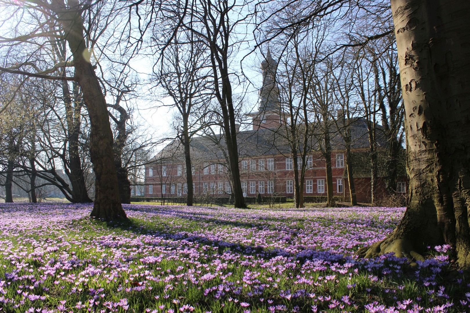 Krokusblüte im Husumer Schlosspark mit dem einzigen Schloss an der Nordseeküste Schleswig-Holsteins im Hintergrund. Photo Credit: husum-tourismus.de Krokusblüte im Husumer Schlosspark mit dem einzigen Schloss an der Nordseeküste Schleswig-Holsteins im Hintergrund. Photo Credit: husum-tourismus.de