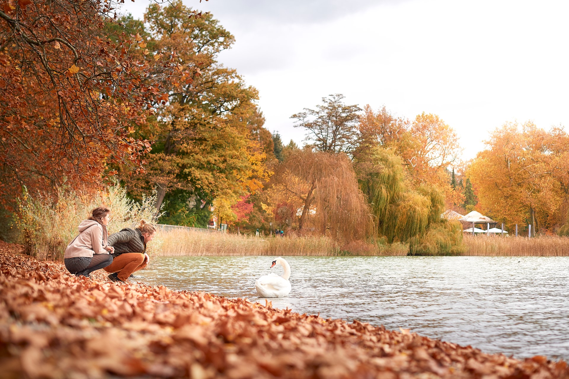 Herbstwanderung auf der Insel Mainau. Foto: MTK | Hari Pulko Herbstwanderung auf der Insel Mainau. Foto: MTK | Hari Pulko