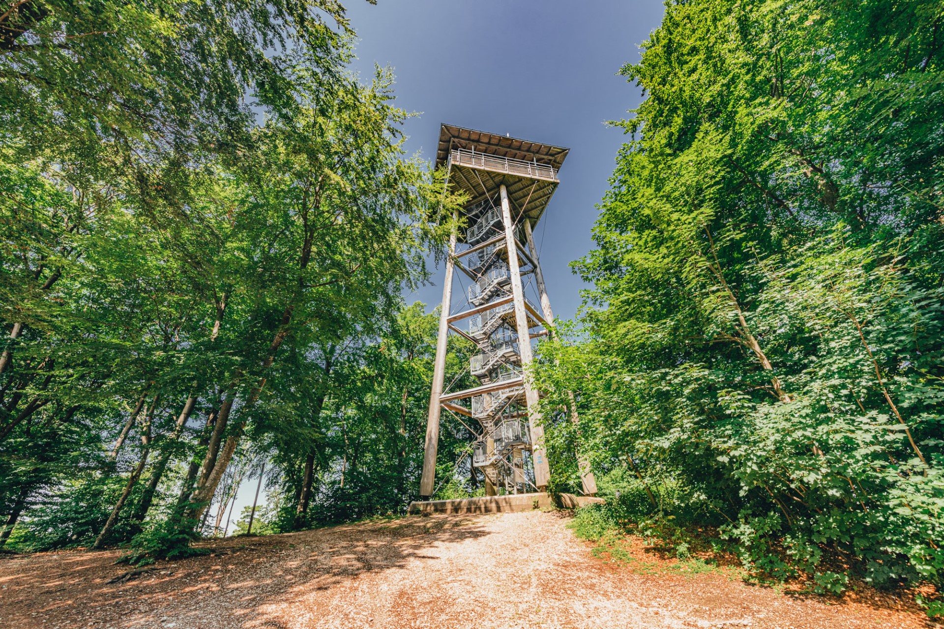 Der 26 Meter hohe Aussichtsturm Aalbäumle auf dem Aalener „Hausberg“ Langert. Foto: djd | Tourismus Ostalb | Christian Frumolt