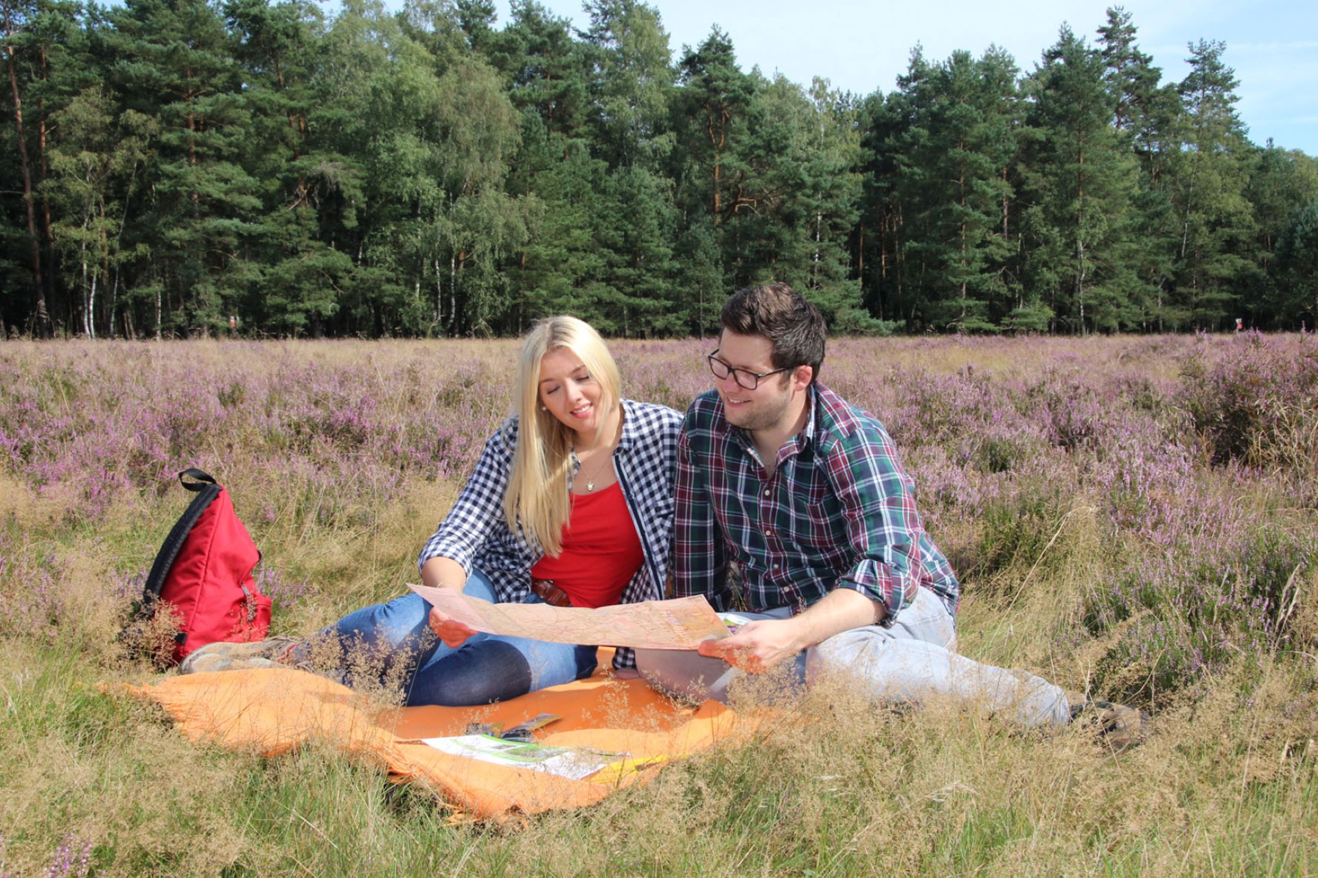 Im August und September entfaltet die Heide ihre volle Pracht. Foto: djd | OstWestfalenLippe | Touristikzentrale Paderborner Land | M. Fortmeier Im August und September entfaltet die Heide ihre volle Pracht. Foto: djd | OstWestfalenLippe | Touristikzentrale Paderborner Land | M. Fortmeier