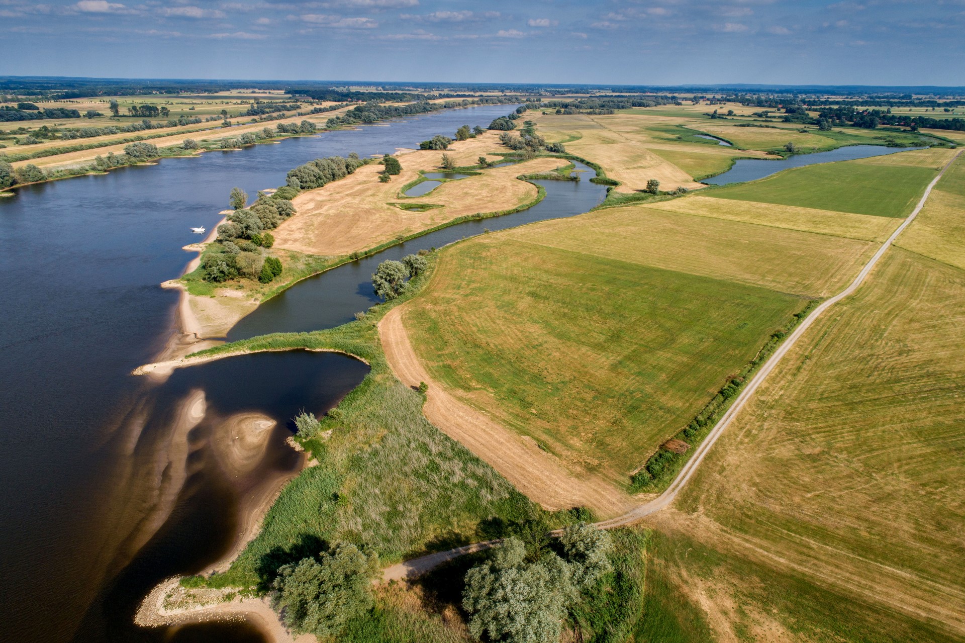 Die unberührte Elbtalaue im Wendland beherbergt viele seltene Tierarten. Photo Credit: djd | TMN | Jürgen Borris