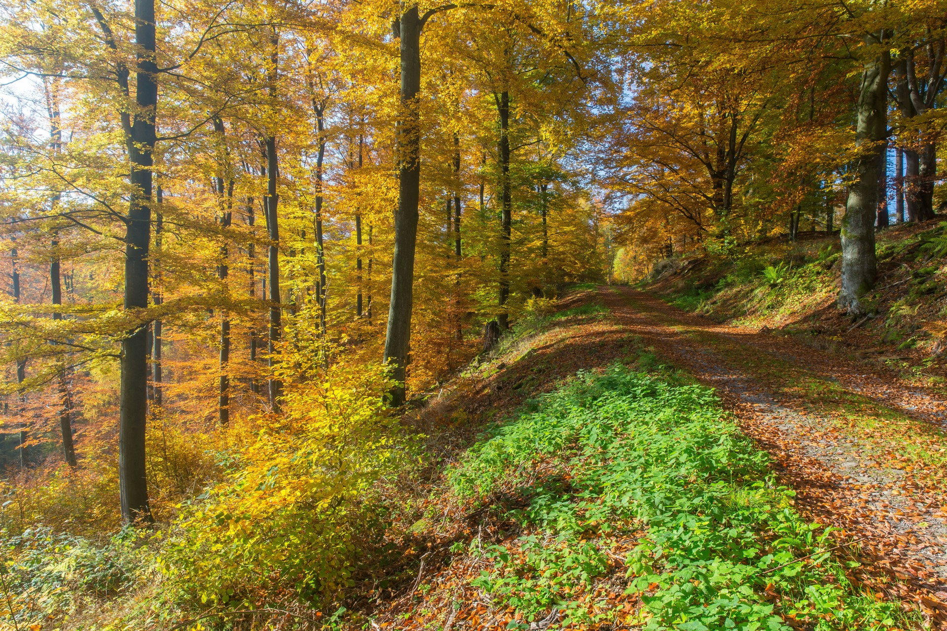 Herbstliches Weserbergland Foto: djd | TourismusMarketing Niedersachsen | Jürgen Borris Herbstliches Weserbergland Foto: djd | TourismusMarketing Niedersachsen | Jürgen Borris