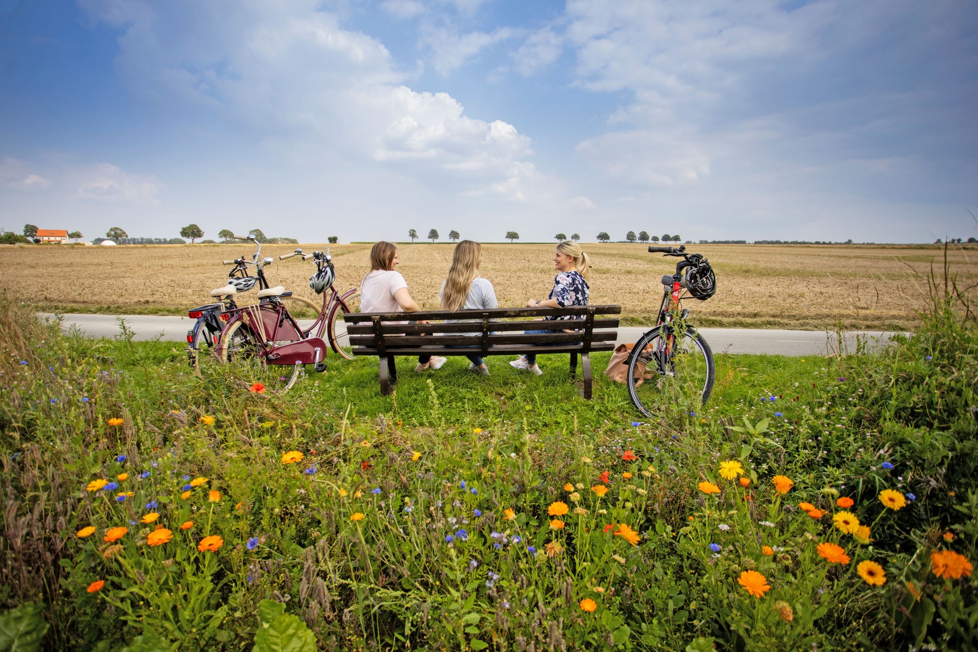 Das Knotenpunktsystem bietet vielfältige Möglichkeiten, sich individuelle Radtouren zusammenzustellen. Foto: djd | Kreis Soest | sabrinity.com Das Knotenpunktsystem bietet vielfältige Möglichkeiten, sich individuelle Radtouren zusammenzustellen. Foto: djd | Kreis Soest | sabrinity.com