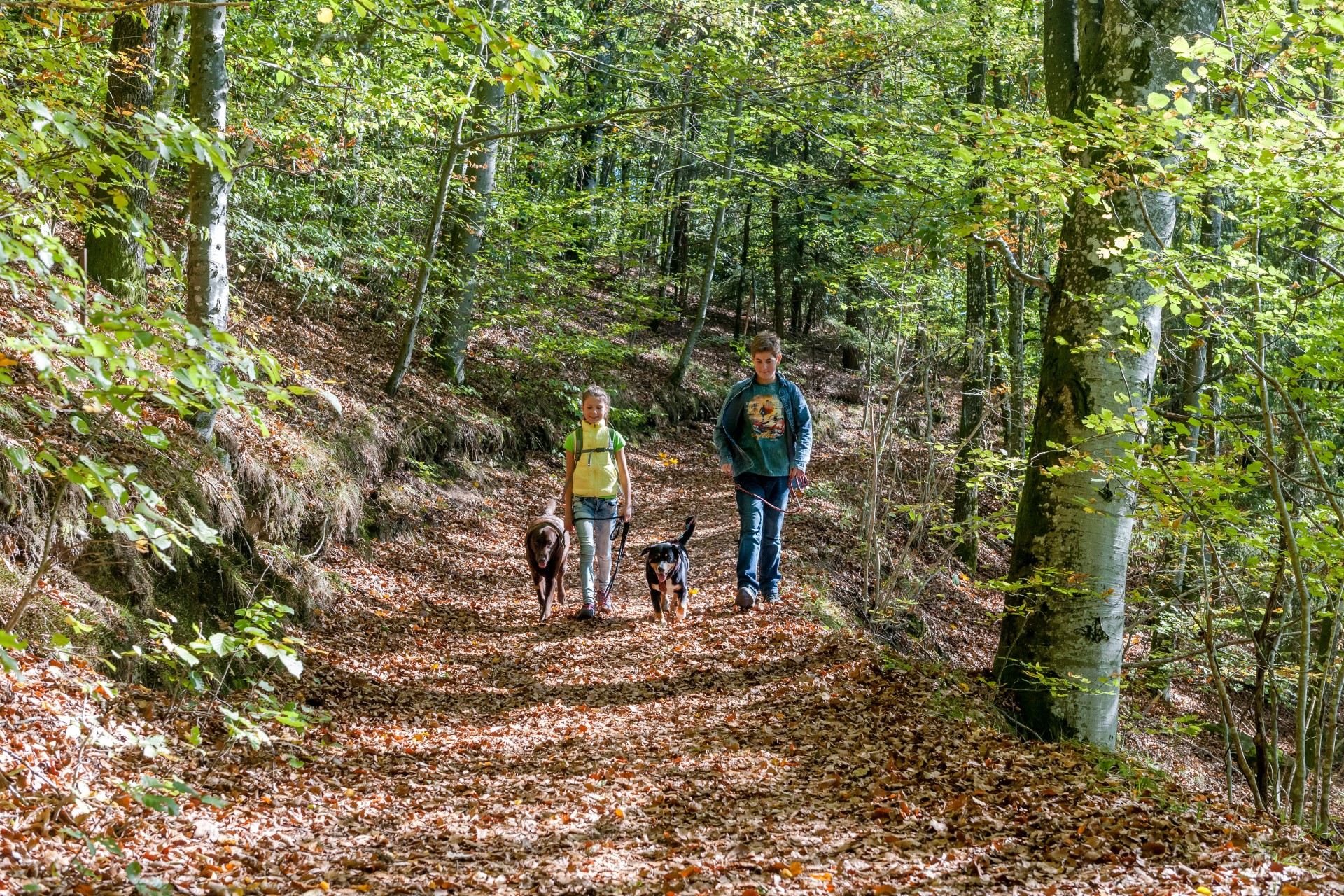 Die Wanderwege an der Donau führen immer über geschichtsträchtigen Boden. Foto: djd | Tourismus Passauer Land | Gregor Lengler