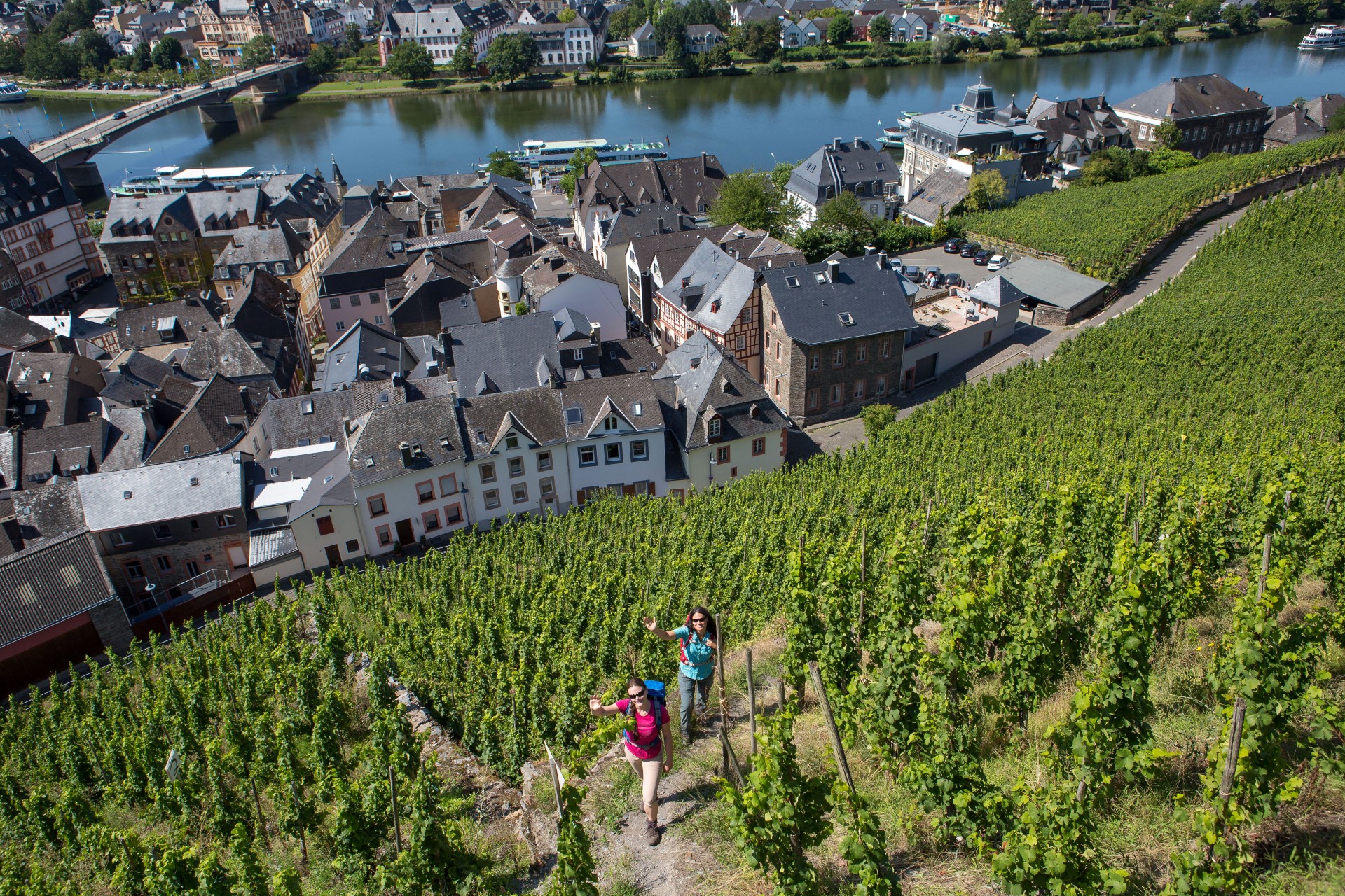 Auf den Schieferböden und Hängen an der Mosel gedeiht der berühmte Rieslingwein. Foto: djd | Wein- und Ferienregion Bernkastel-Kues | Klaus Herzmann