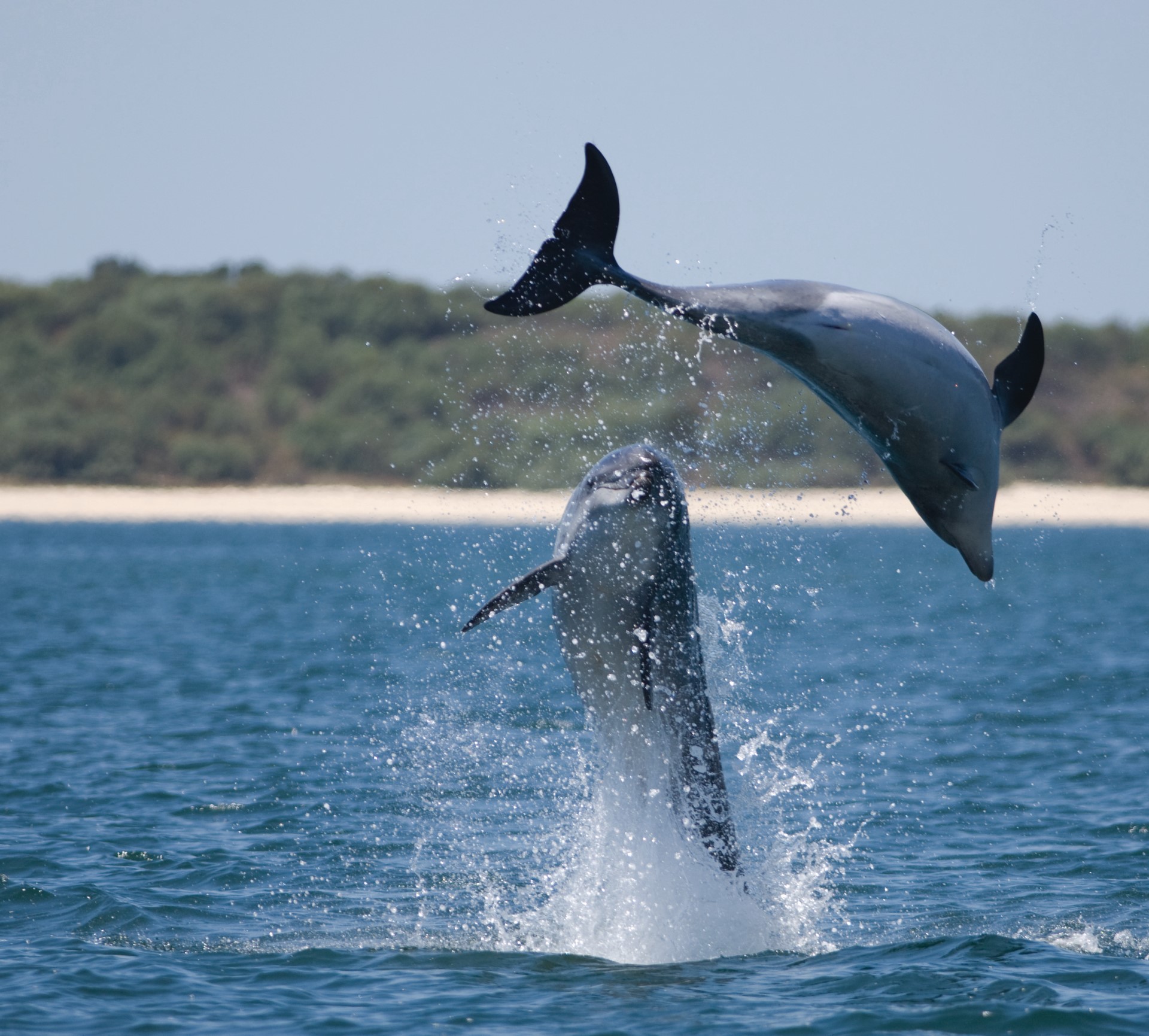 Foto: Alentejo Promotion Office Foto: Alentejo Promotion Office