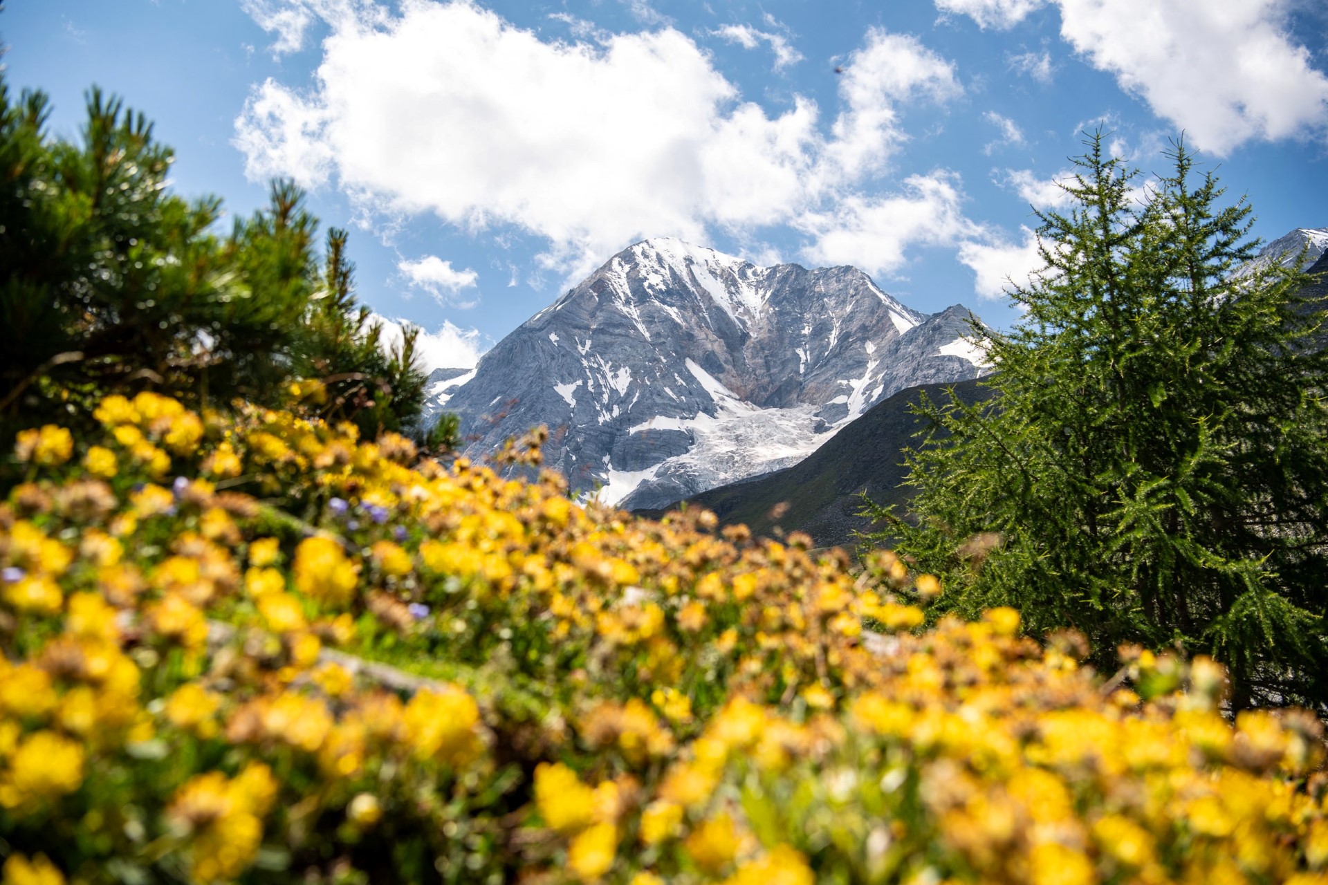 Entlang des Ortler Höhenwegs warten fantastische Aussichten auf sportliche Bergwanderer. Foto: djd | IDM Südtirol | Helmuth Rier