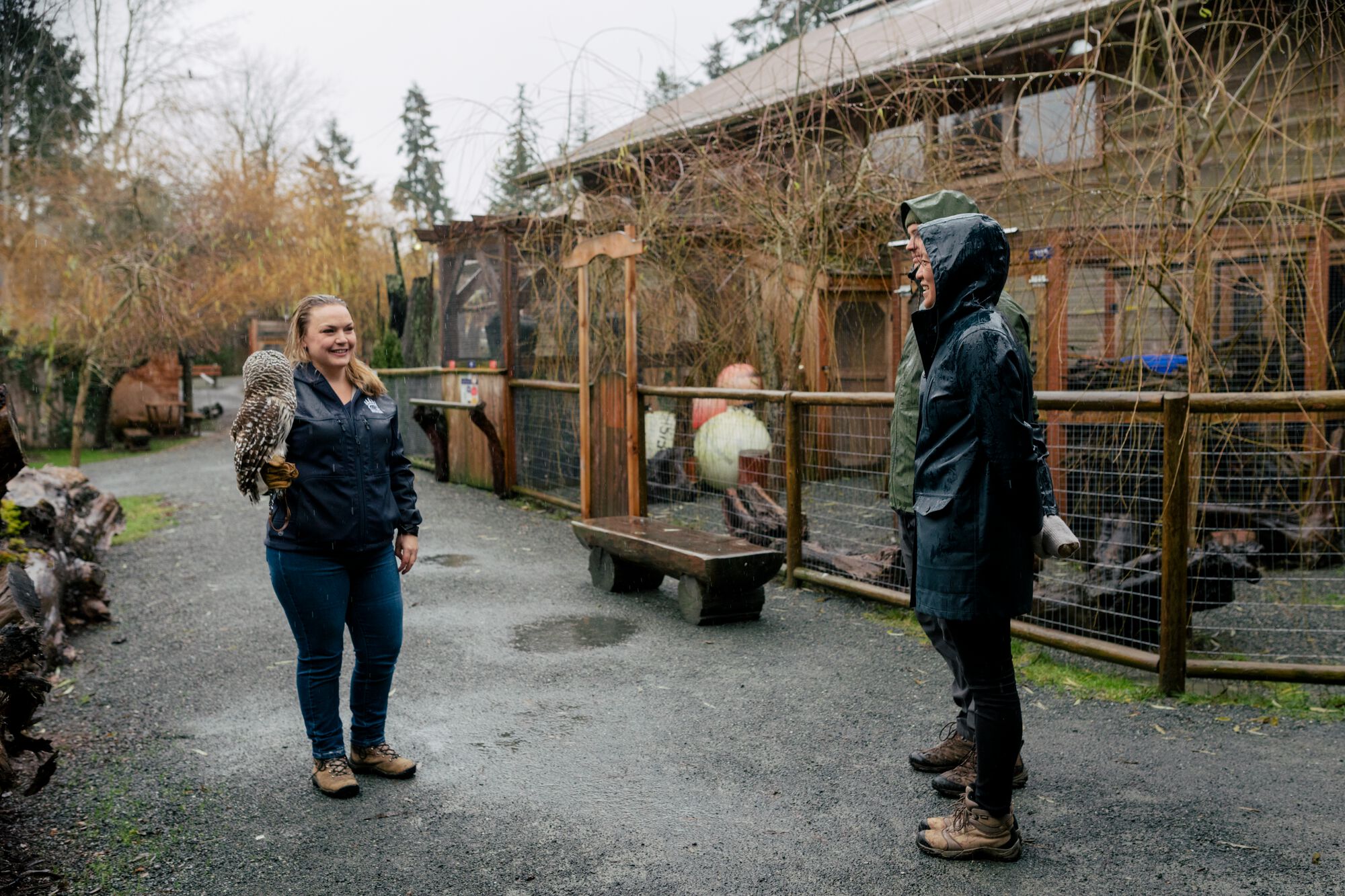 North Island Wildlife Recovery Centre. Foto: Parksville Qualicum Beach | Jordan Dyck | North Island Wildlife Recovery Centre