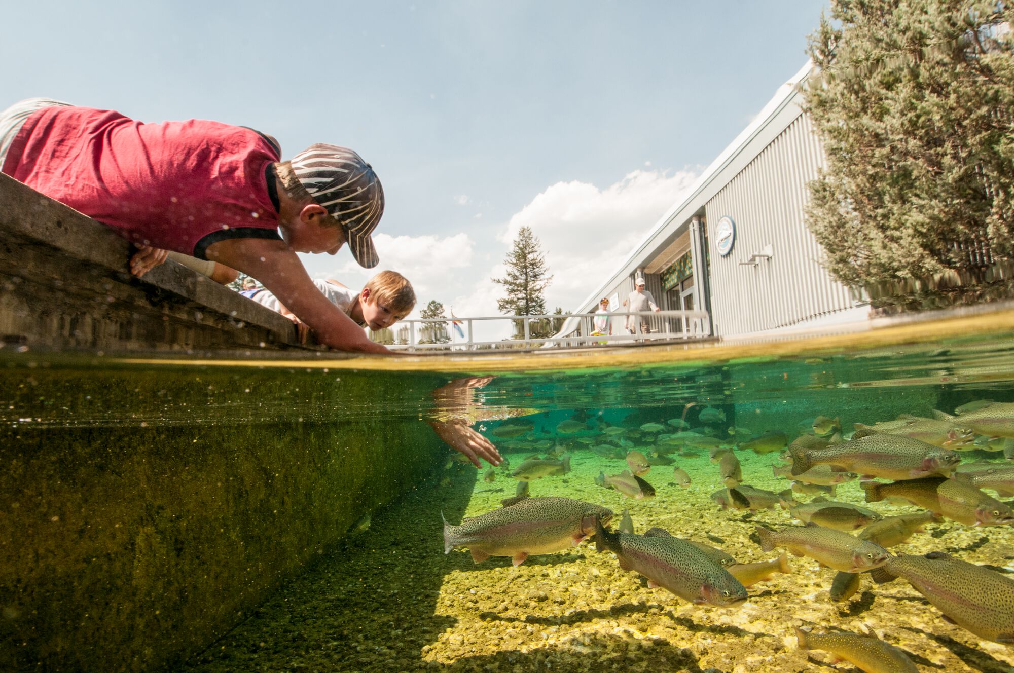 Kootenay Trout Hatchery and Visitor Centre. Foto: Destination BC | Kari Medig Kootenay Trout Hatchery and Visitor Centre. Foto: Destination BC | Kari Medig