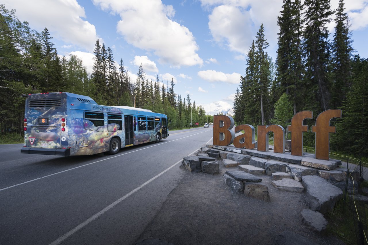 Roam-Bus. Foto: Nick Fitzhardinge