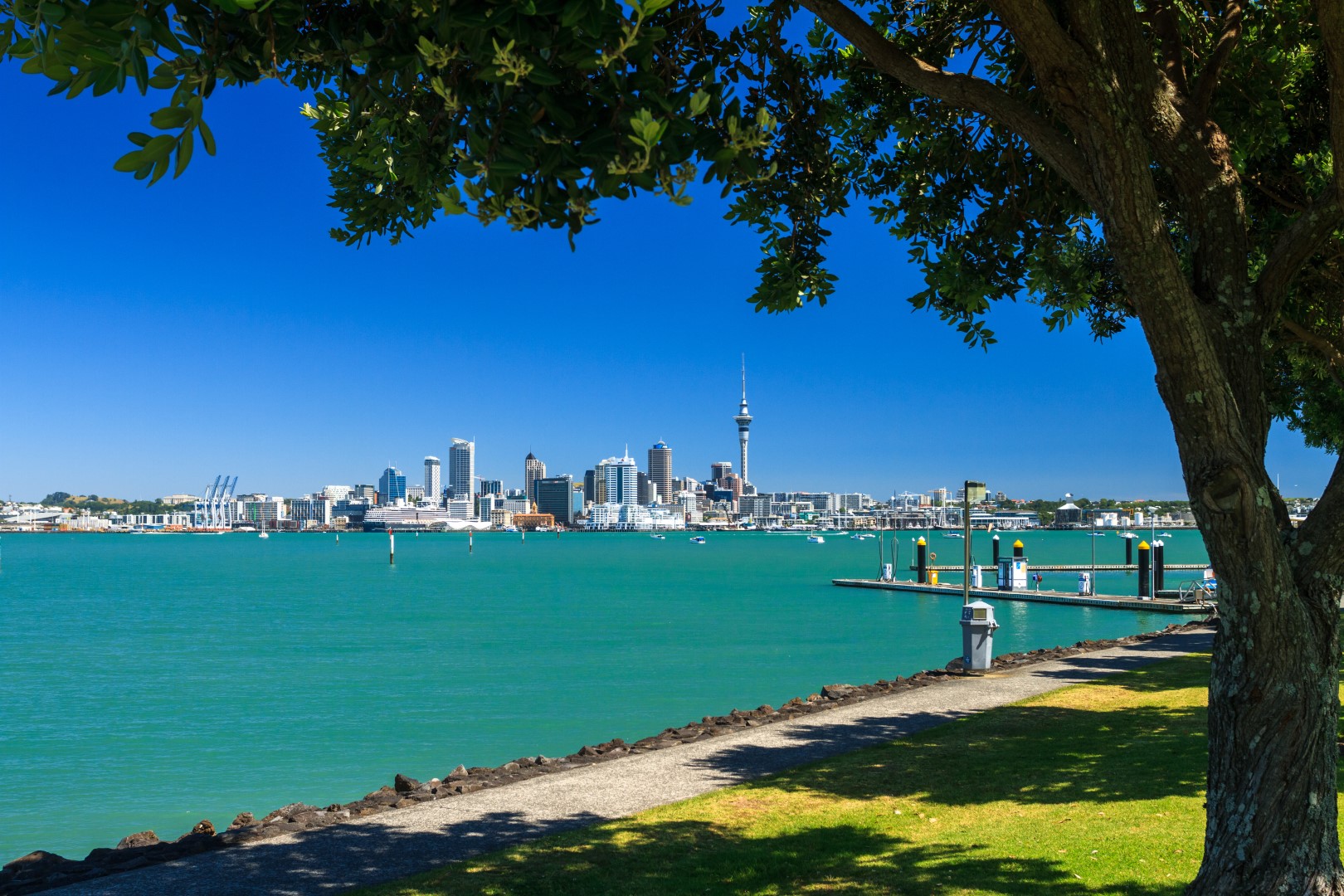 Waitemata Harbour in Auckland. Foto: Shutterstock | Dmitry Serbin Waitemata Harbour in Auckland. Foto: Shutterstock | Dmitry Serbin