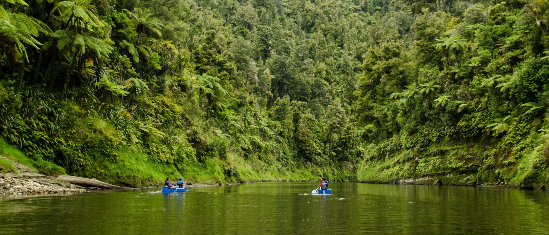Whanganui Journey. Foto: Tourism New Zealand | Loic Lassueur