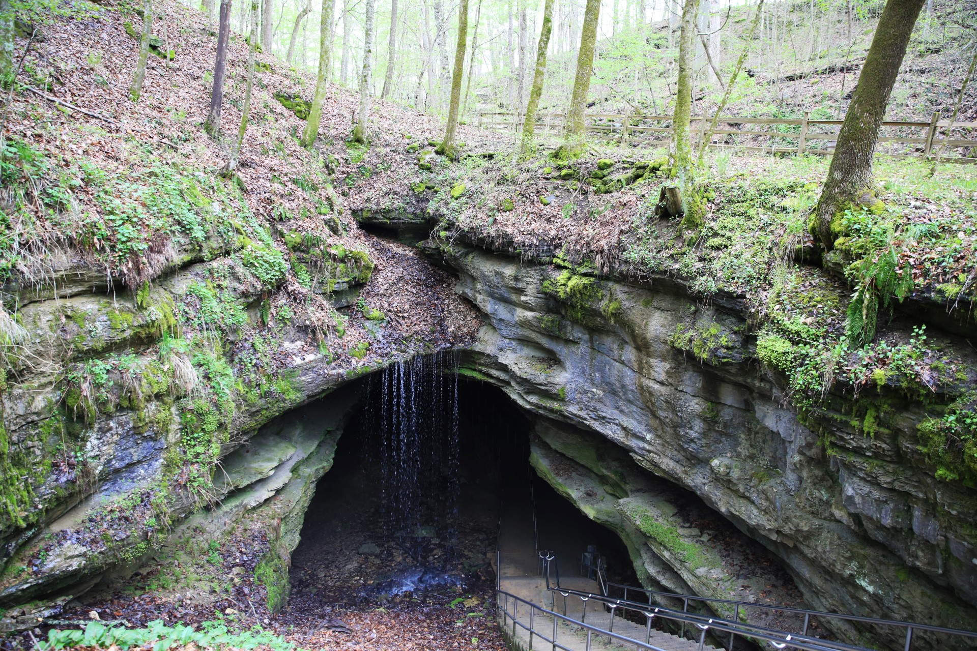 Mammoth Cave National Park. Foto: Brand USA Mammoth Cave National Park. Foto: Brand USA