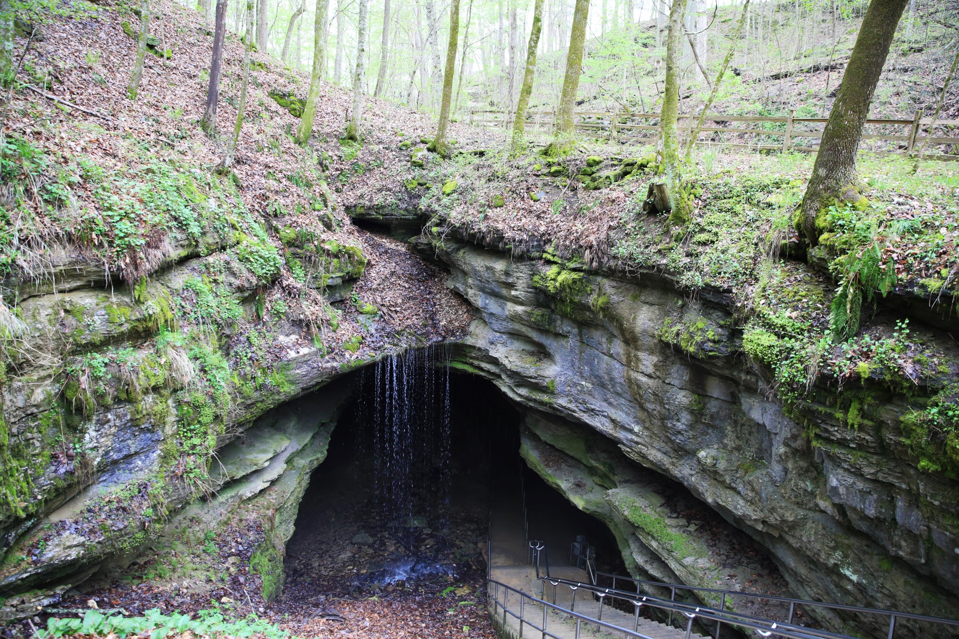 Mammoth Cave National Park. Foto: Brand USA