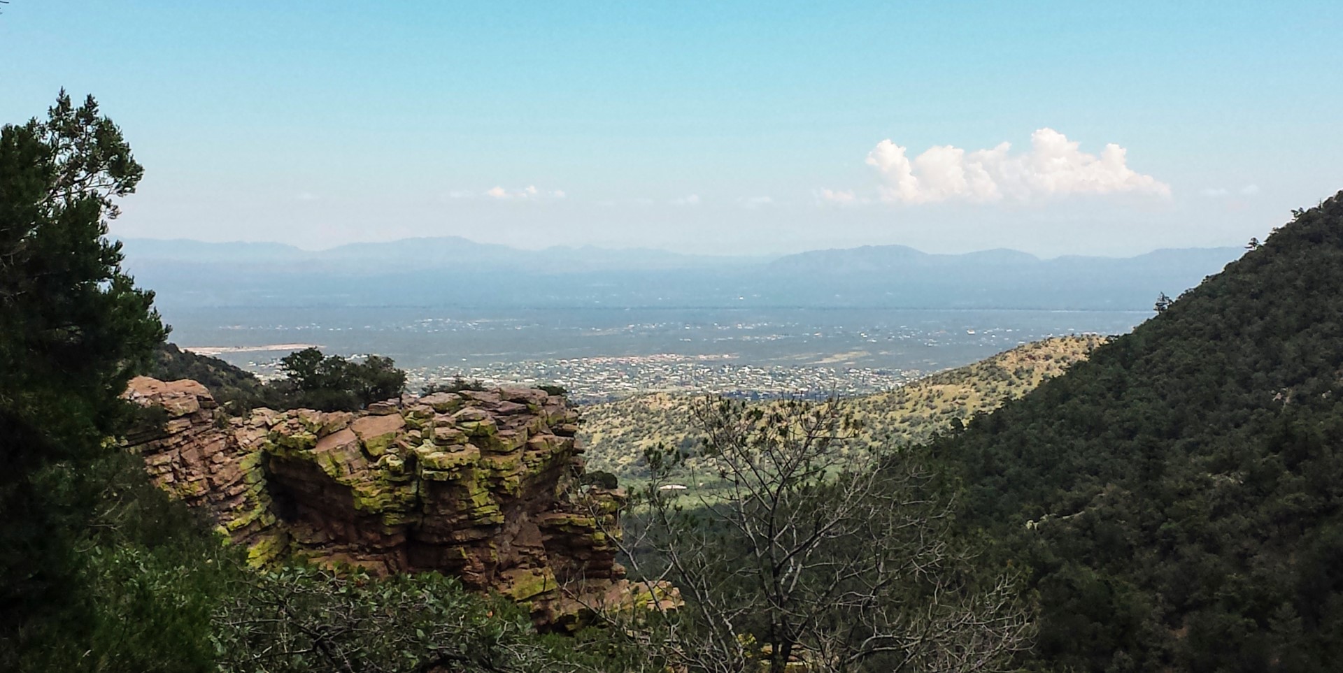 Ramsey Canyon. Photo Credit: City of Sierra Vista