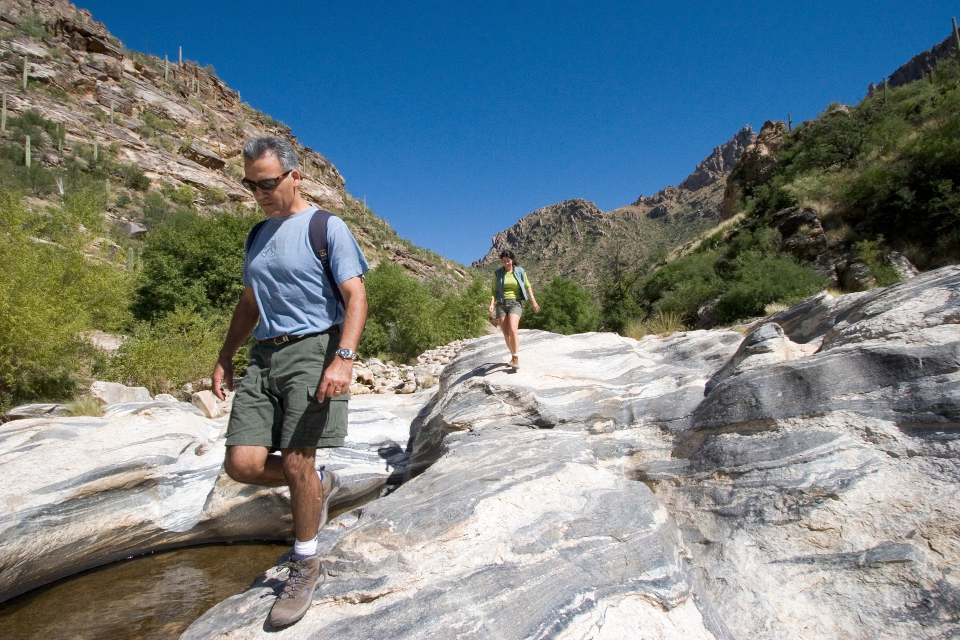 Sabino Canyon. Photo Credit: Todd Brenneman Sabino Canyon. Photo Credit: Todd Brenneman