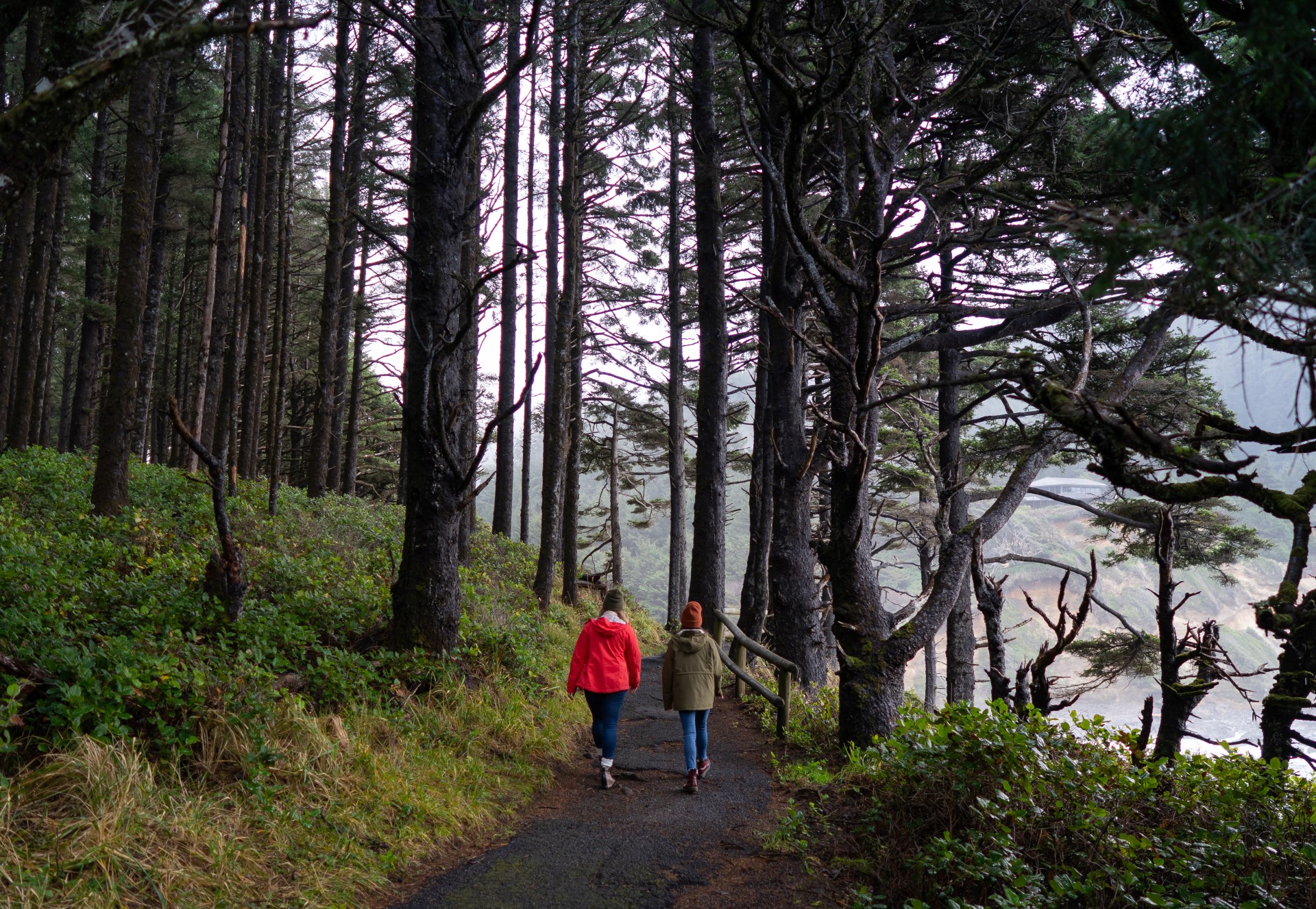 Cape Perpetua. Foto: Travel Oregon Cape Perpetua. Foto: Travel Oregon