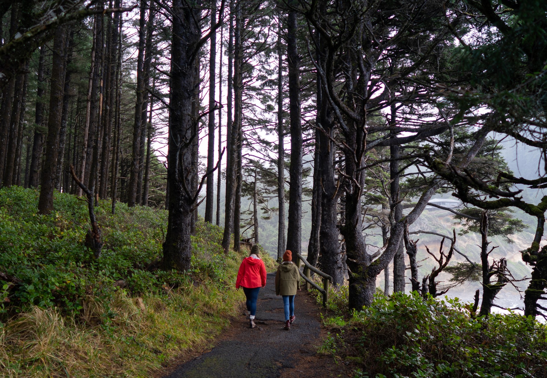 Cape Perpetua. Foto: Travel Oregon