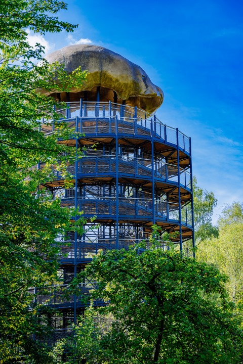Foto: Neanderthal Museum Foto: Neanderthal Museum