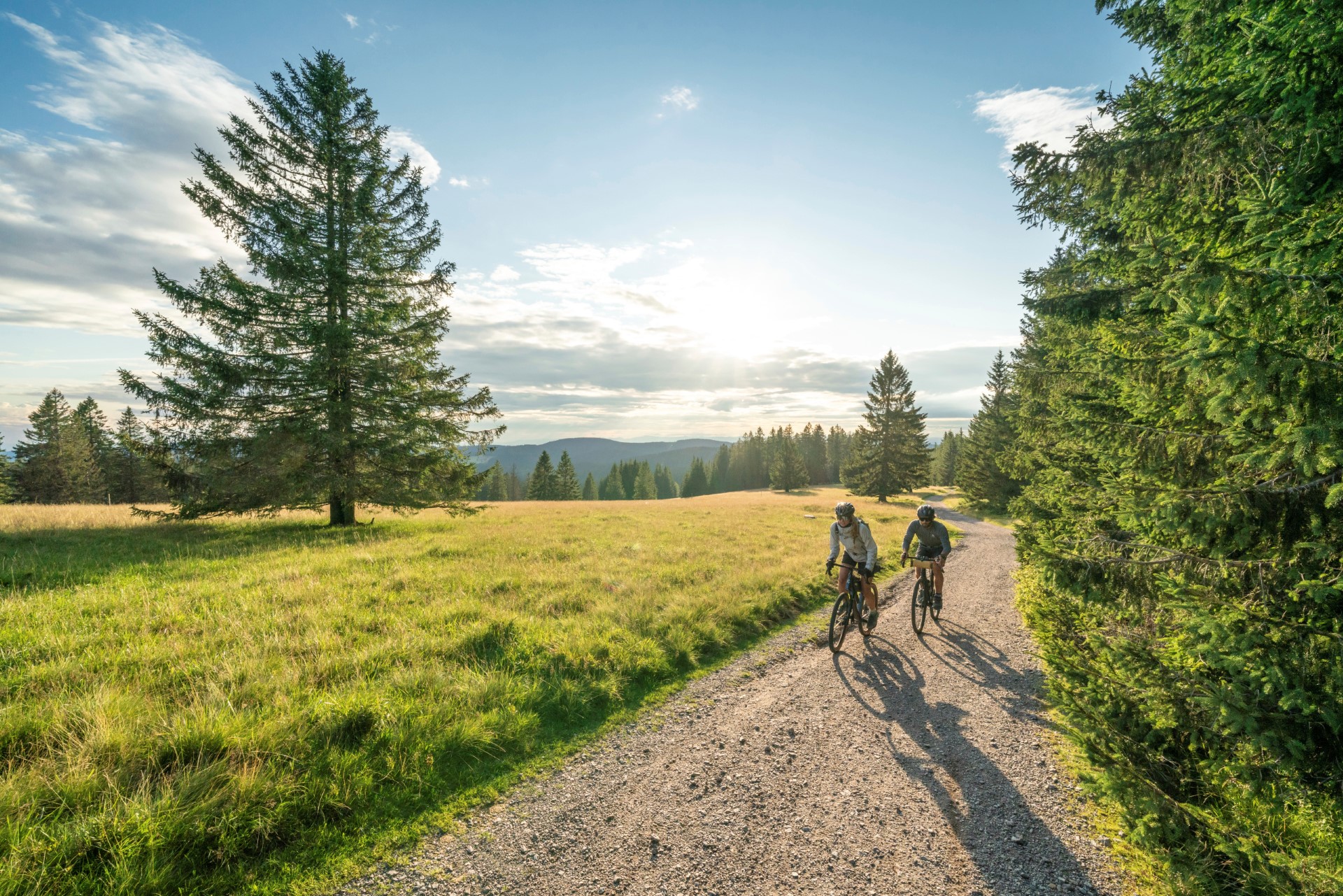 Mit dem Gravelbike am Stübenwasen. Foto: Hochschwarzwald Tourismus GmbH