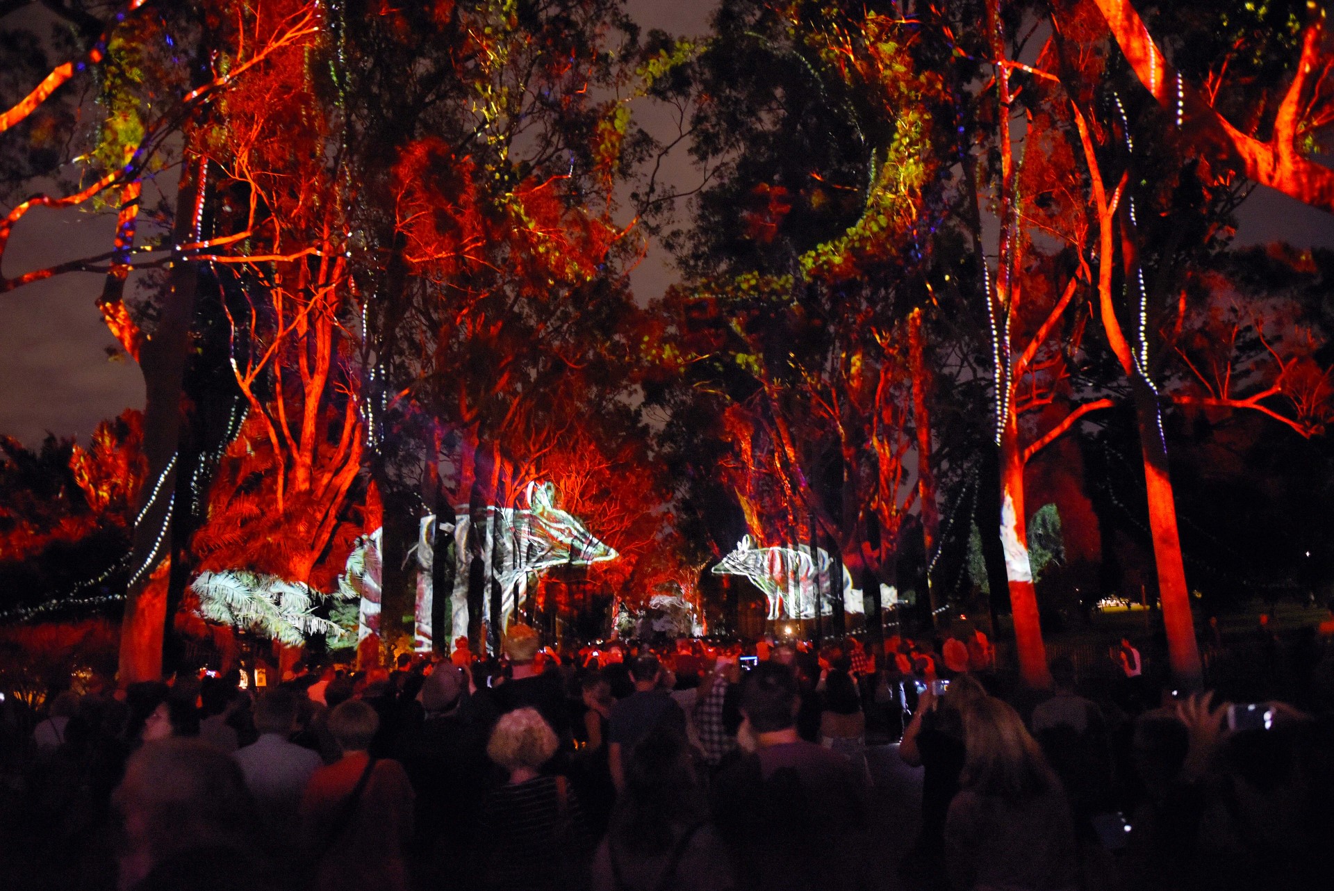 Western Australia: Neues Festival mit Aboriginal-Inspirationen